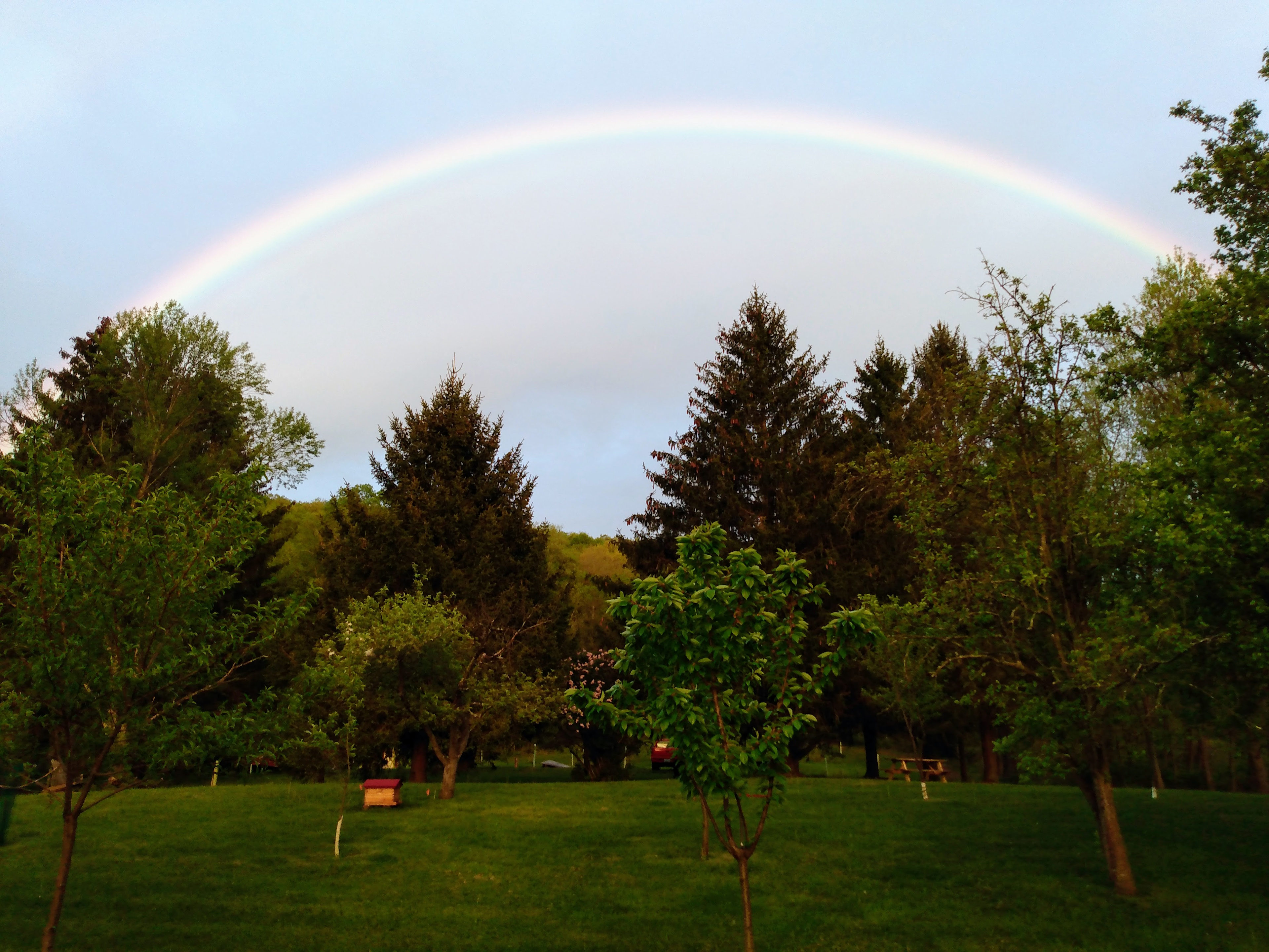 Rainbow over the WonderWoods orchard and beehives.