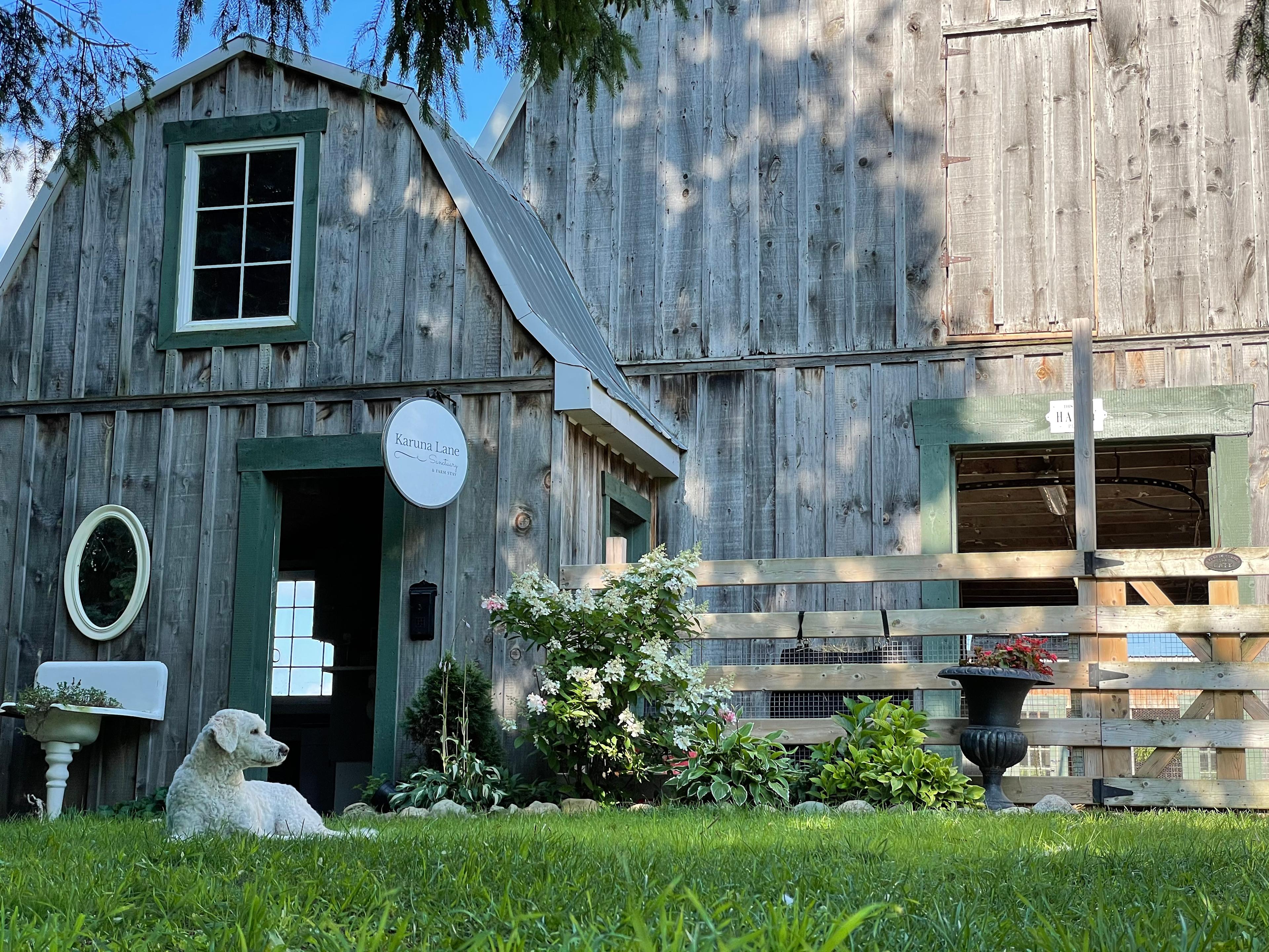 Nourished In Nature Tula Tiny Cabin