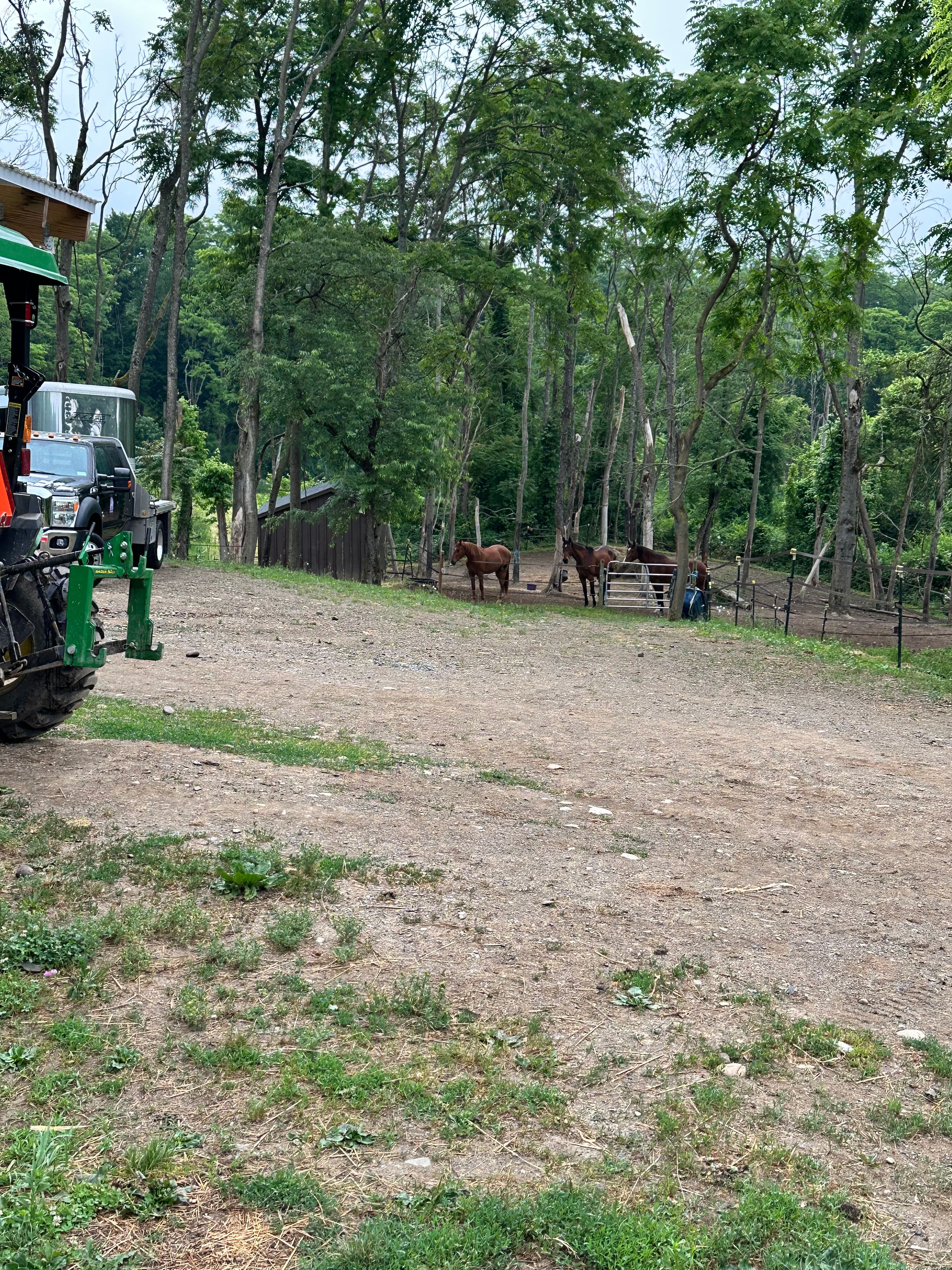 Liberty Farm On Turkey Hill