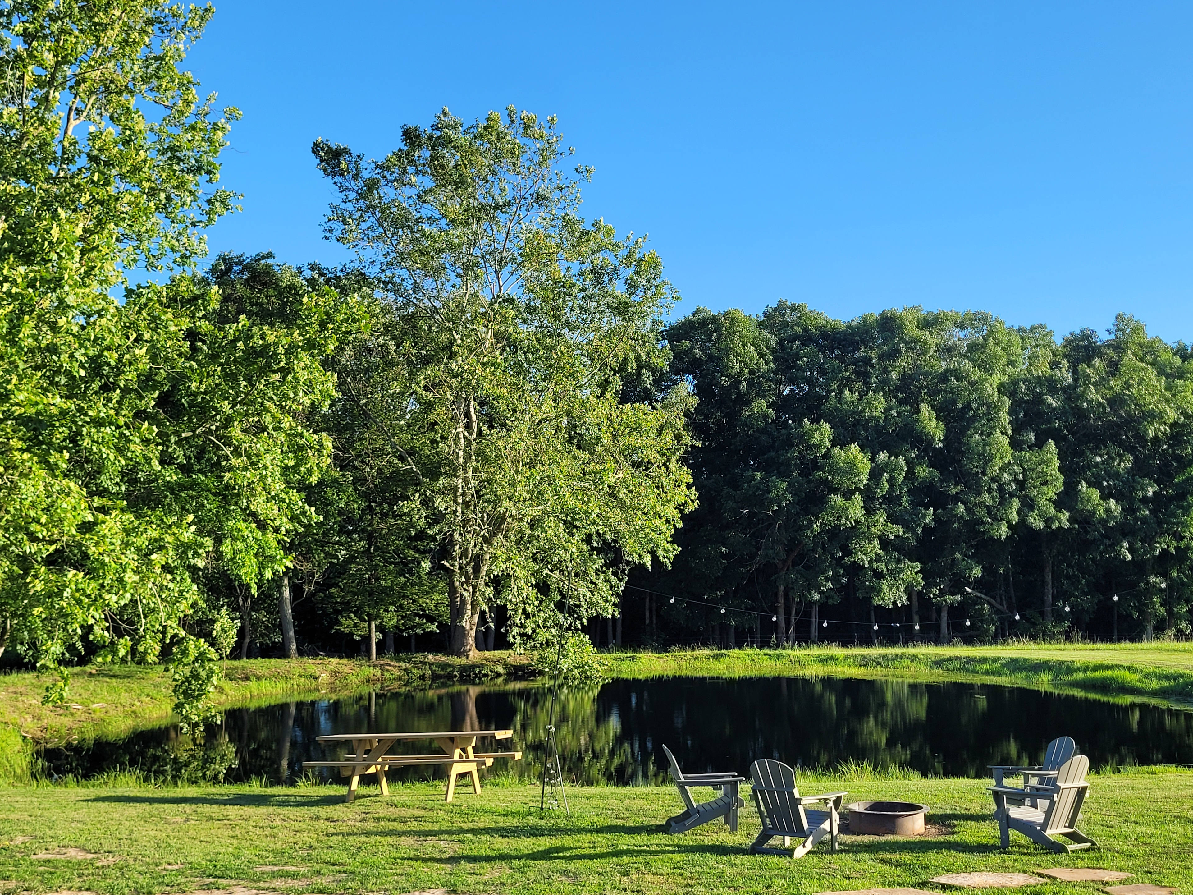 The Campsites At Haywire Acres