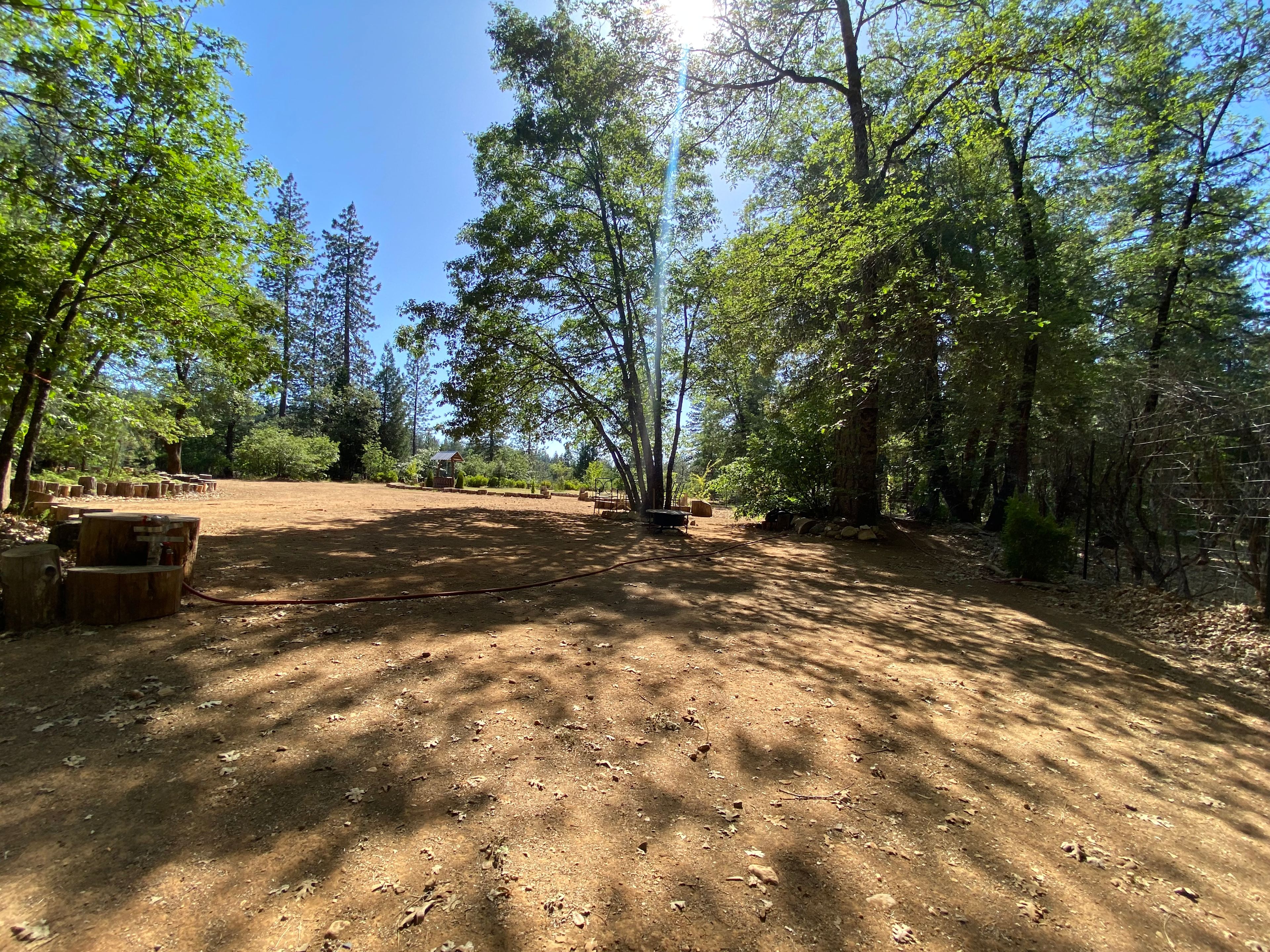 Alta Pines Camp