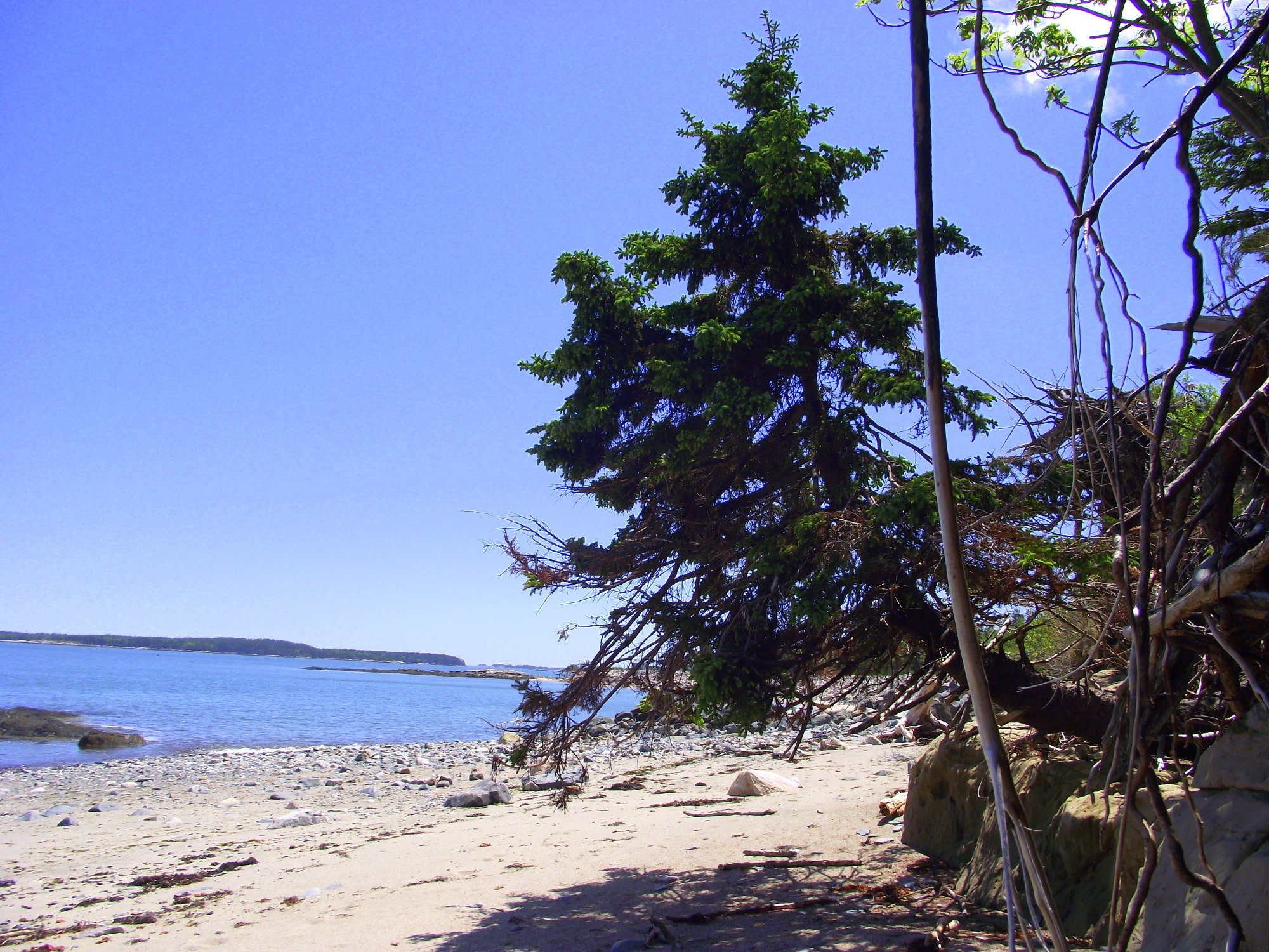 Searenity Beachfront Land Off Grid