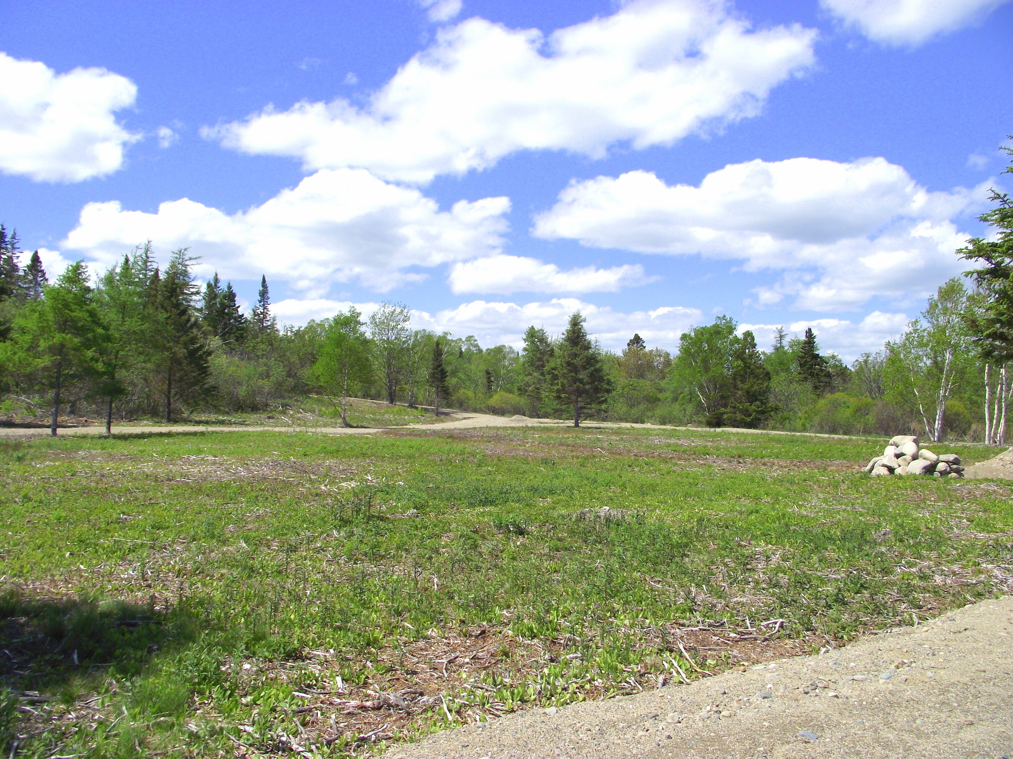 Searenity Beachfront Land Off Grid