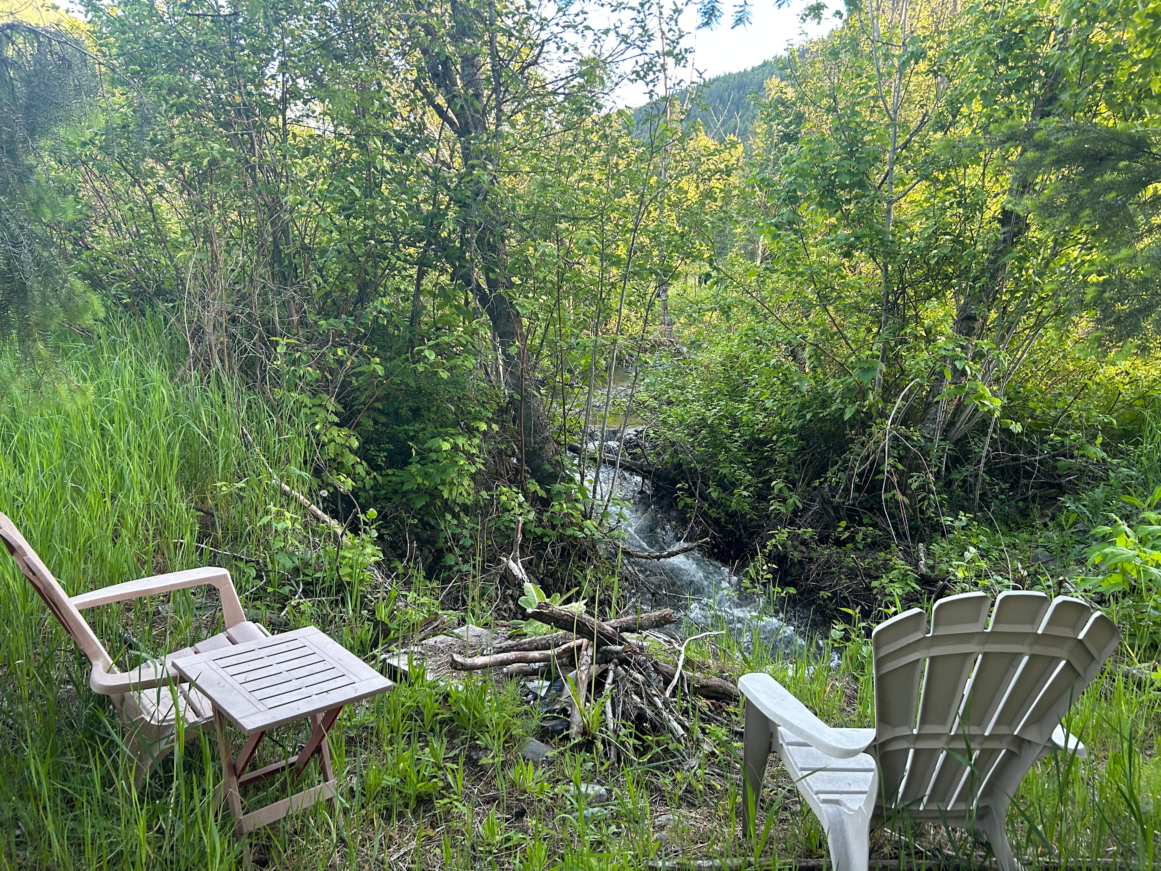 Mountain Creekside Nature Escape