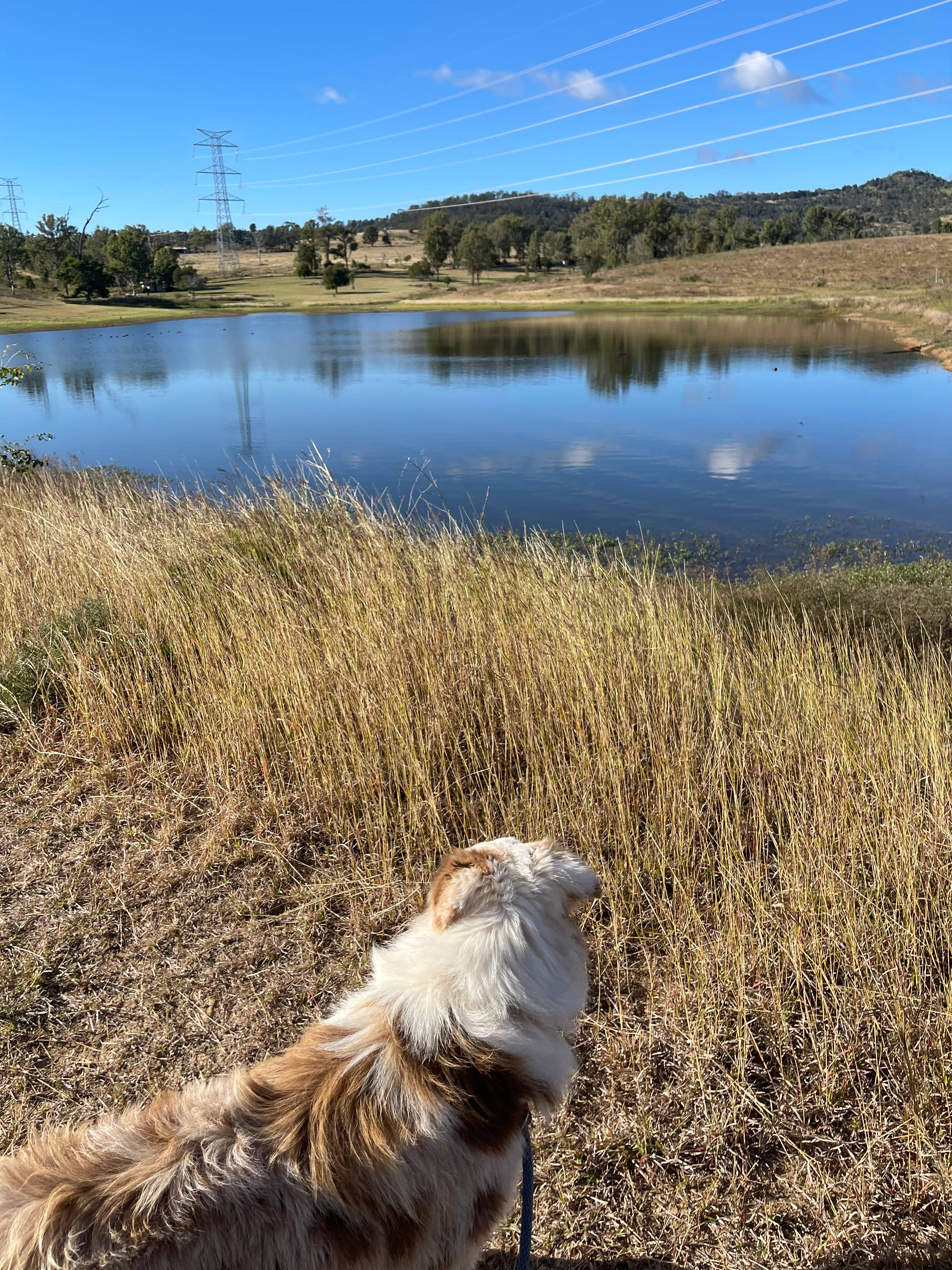 ‘Em ‘N’ Jay Farmstay
