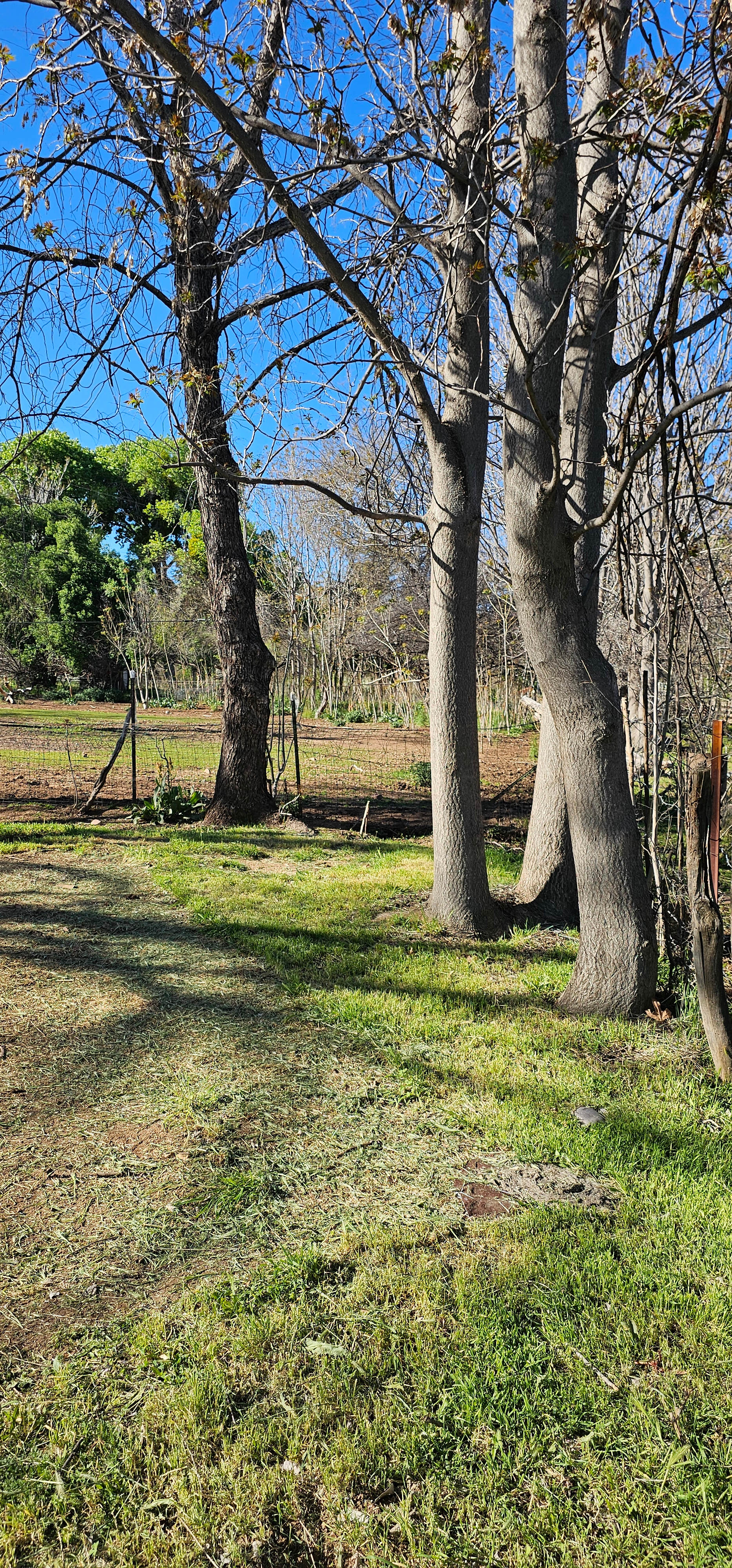 Tent Camp at Tuck & Bird Ranch