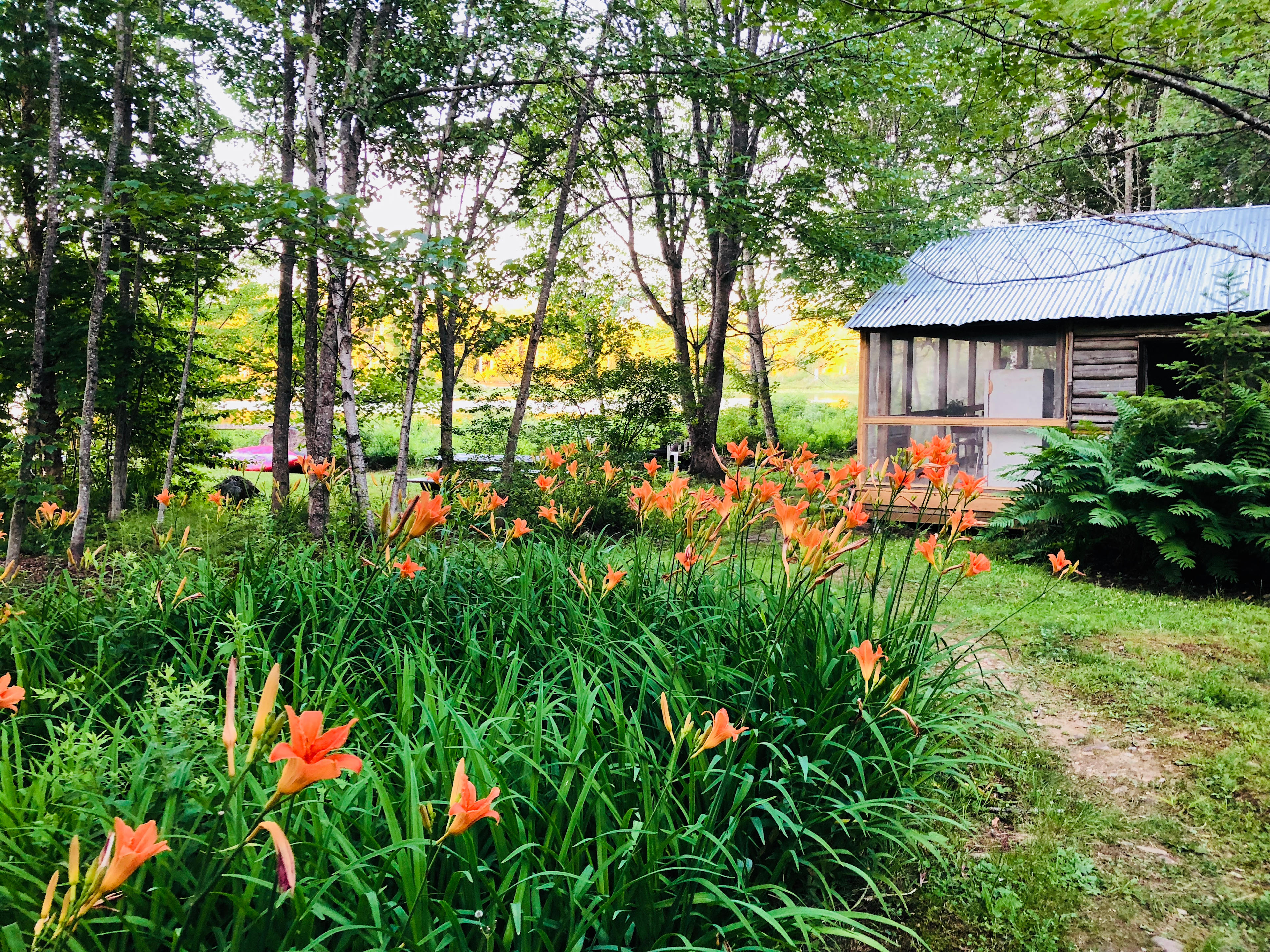 Cole's Moosehorn Cabins