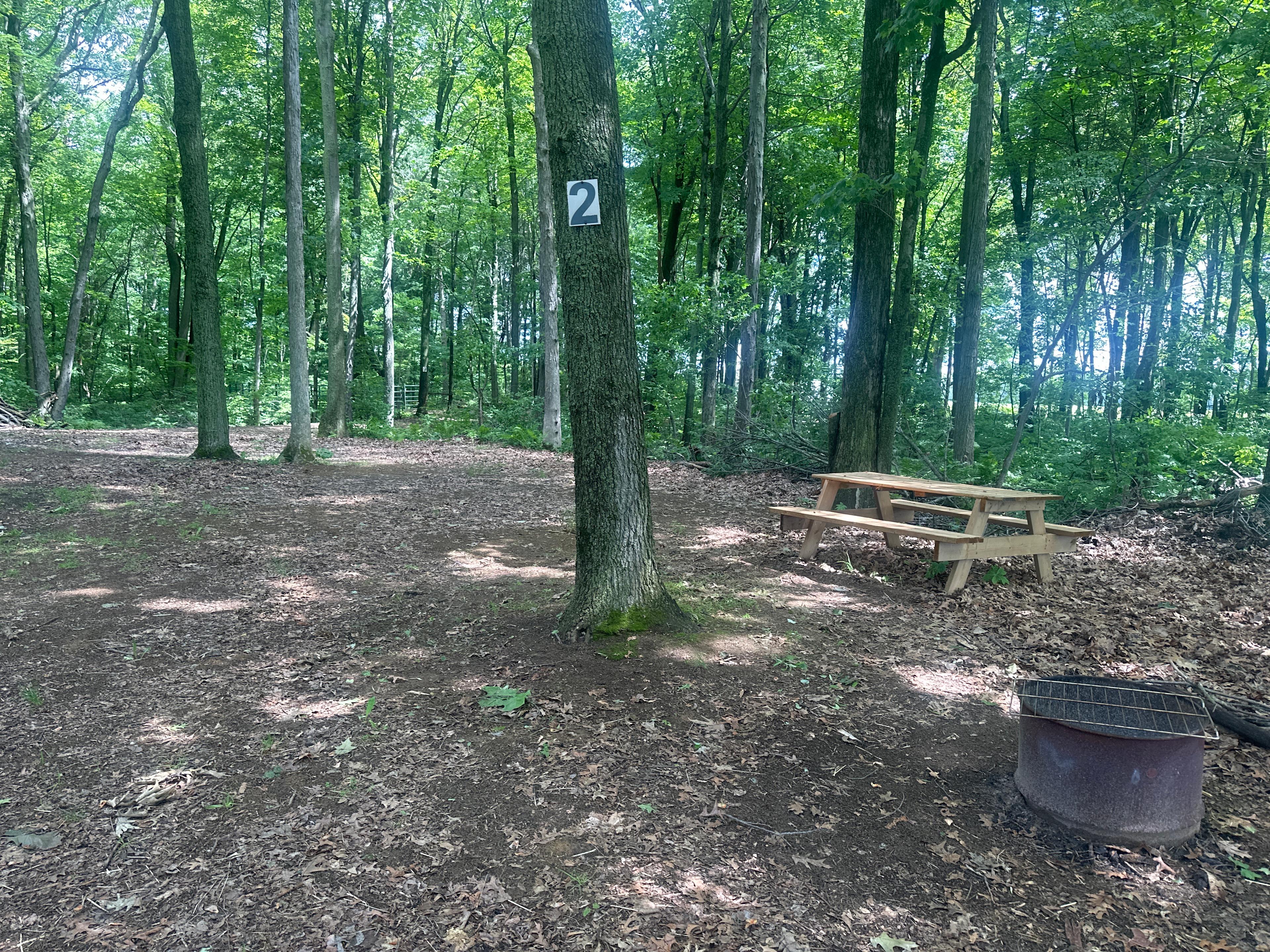 Horseshoe Overnight And Riding