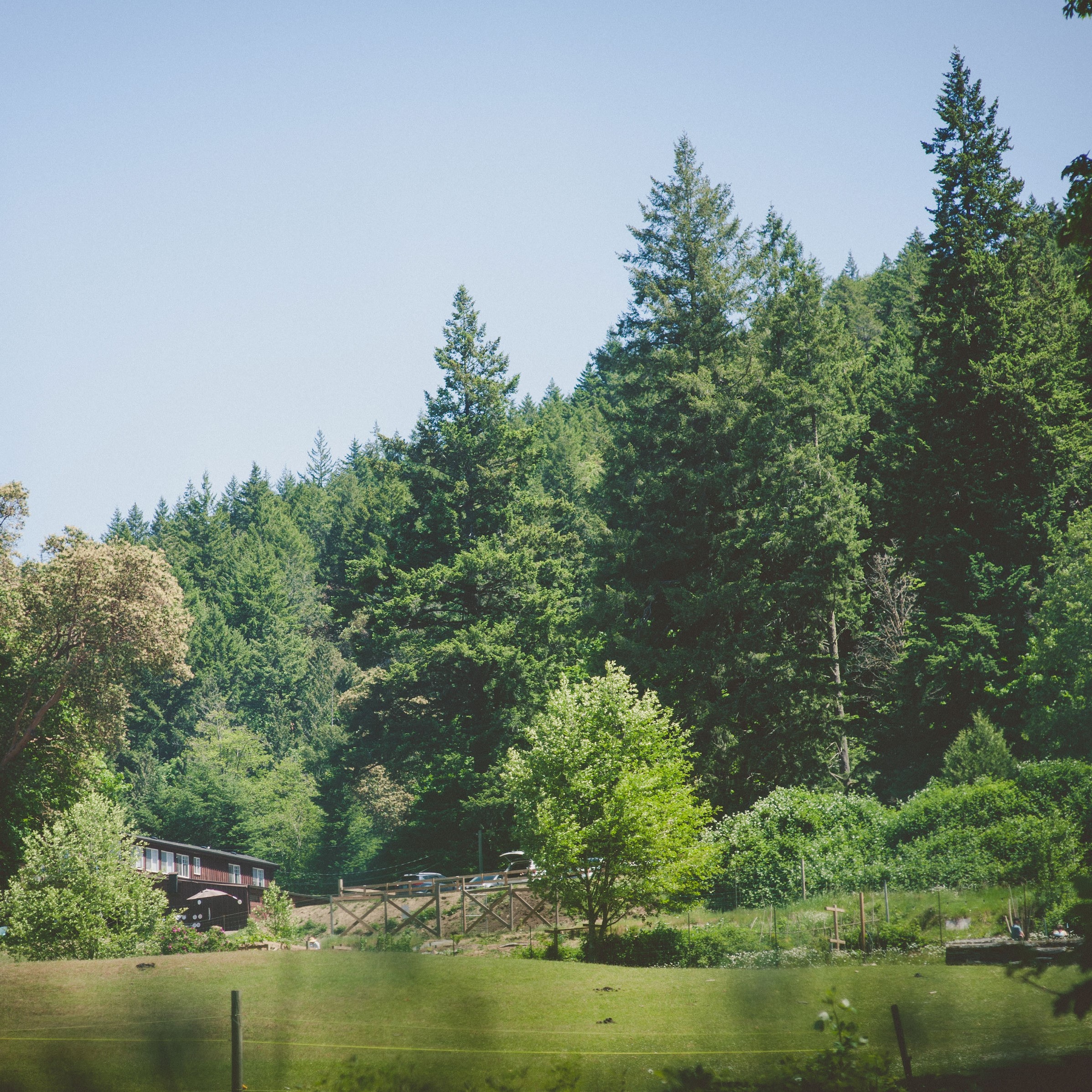 Mary's Farm and Sanctuary