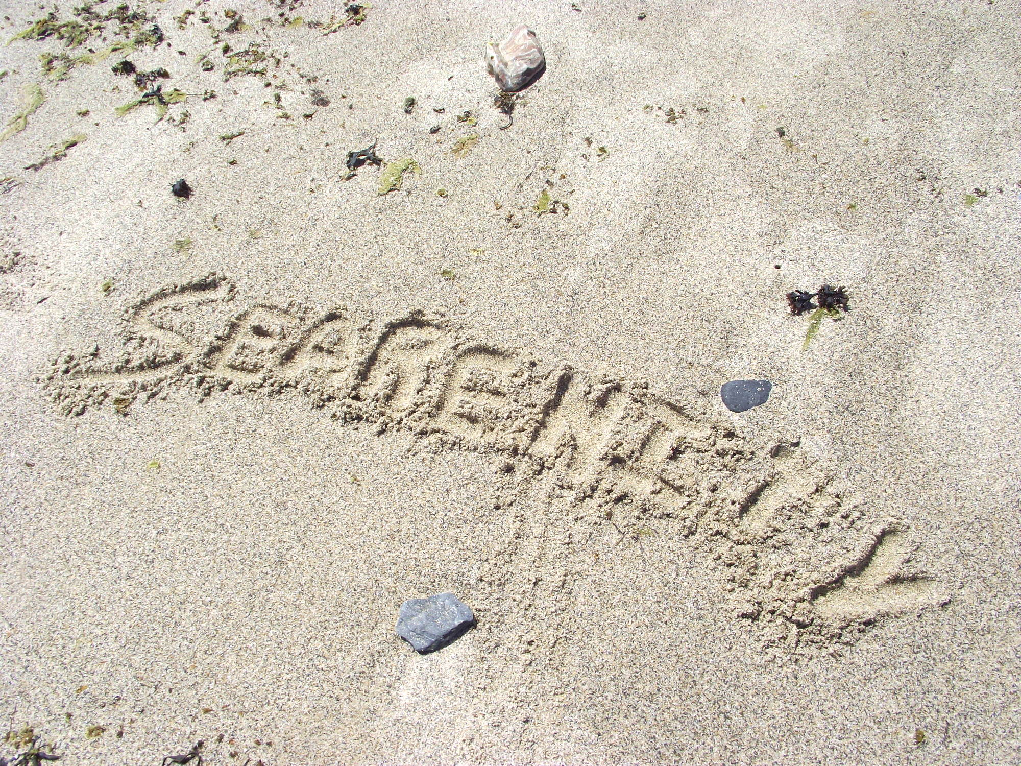 Searenity Beachfront Land Off Grid