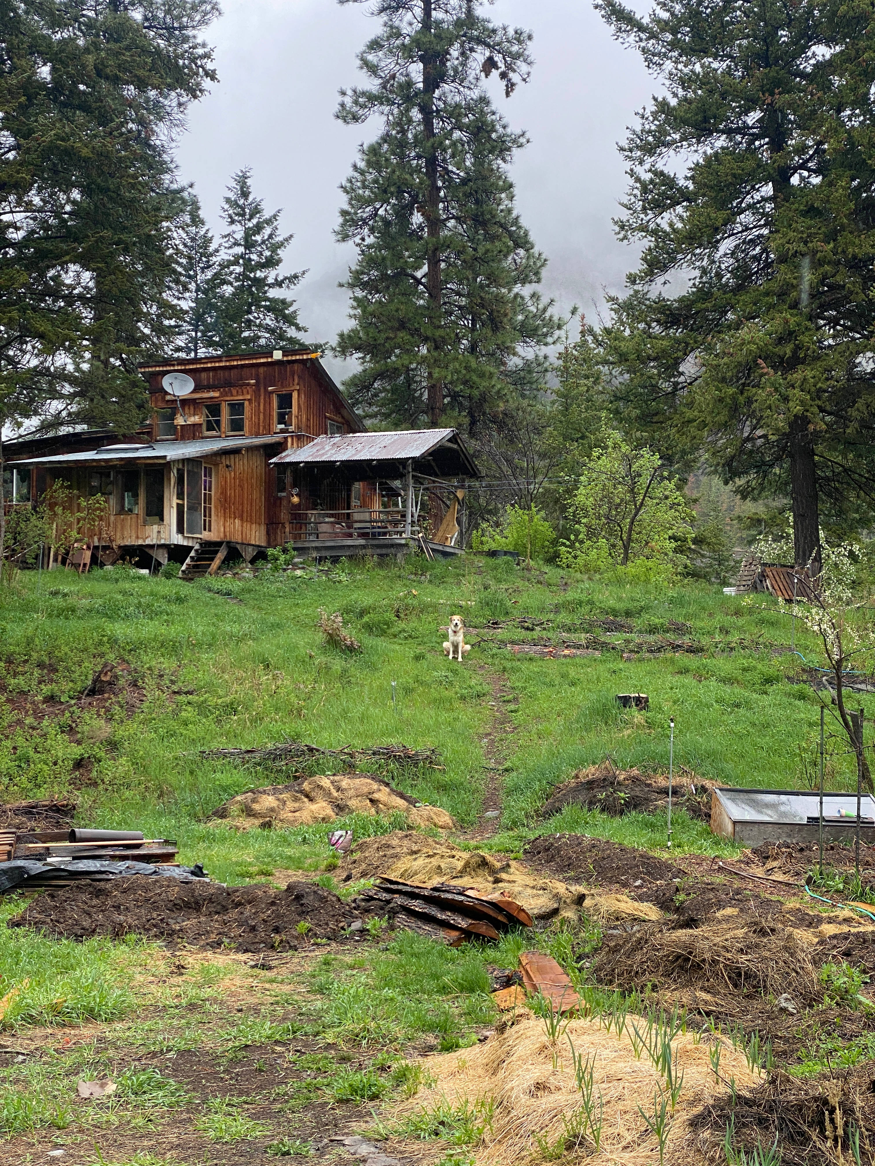 Deep Mountain Sea Cabin