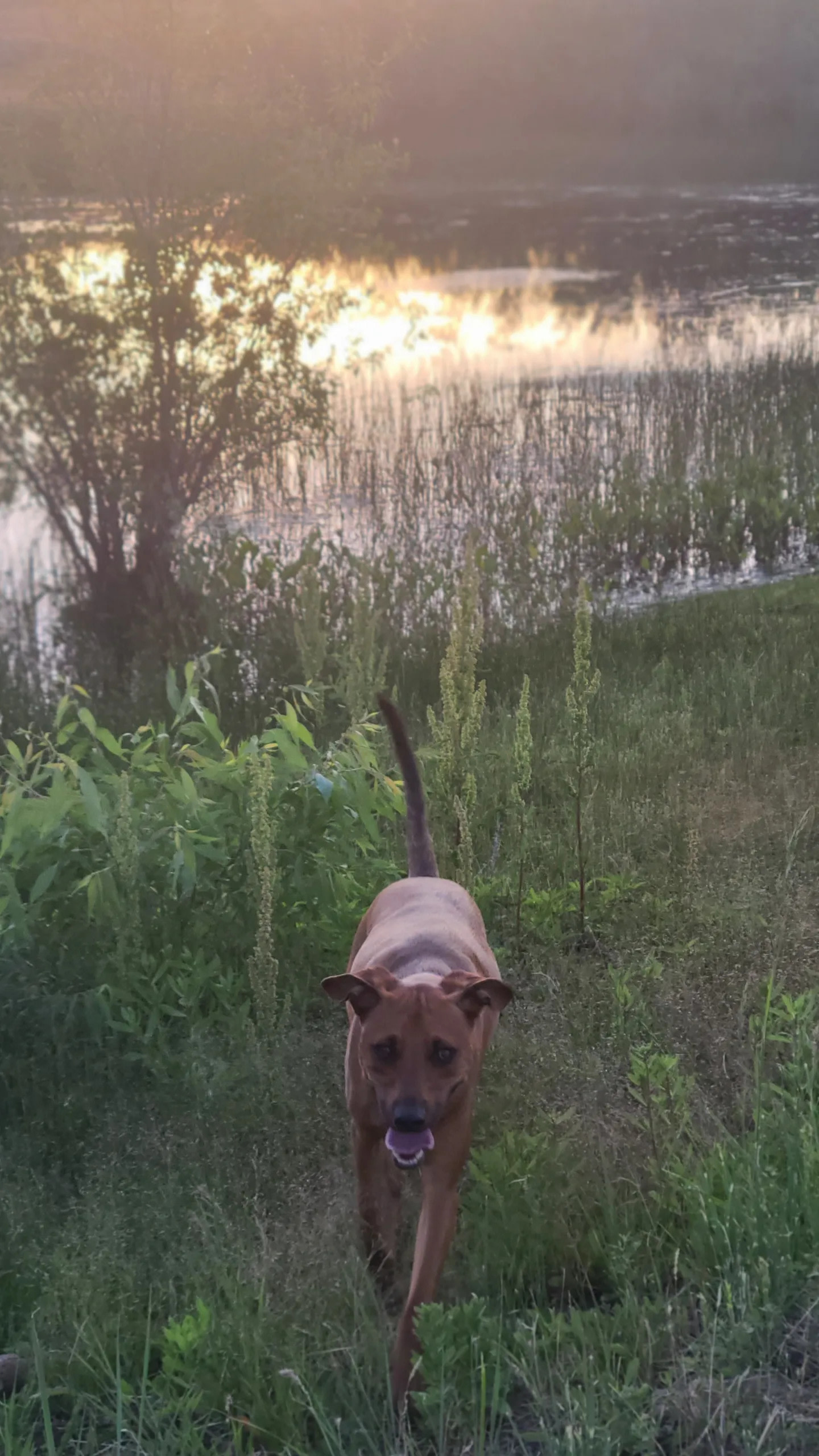 Upper Country Paradise Camping