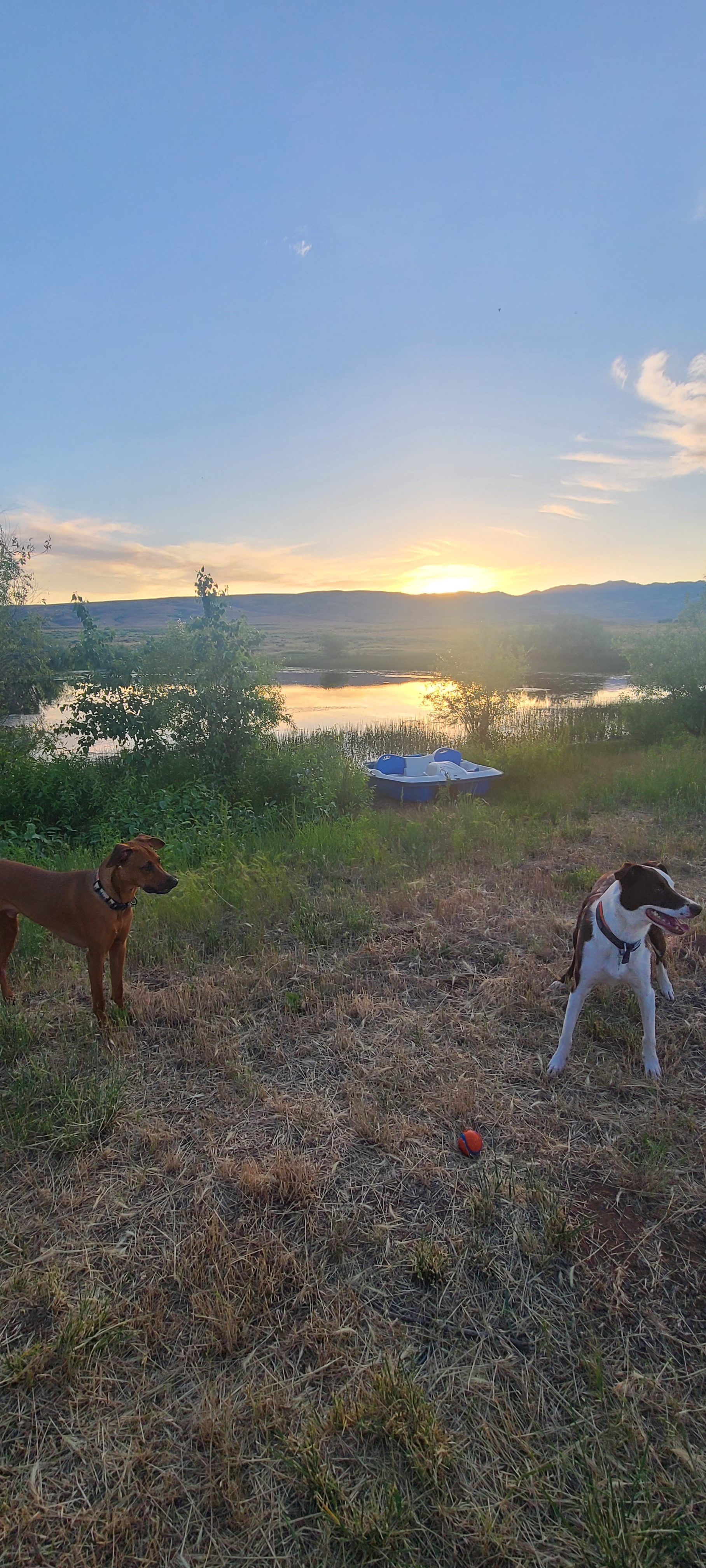 Upper Country Paradise Camping