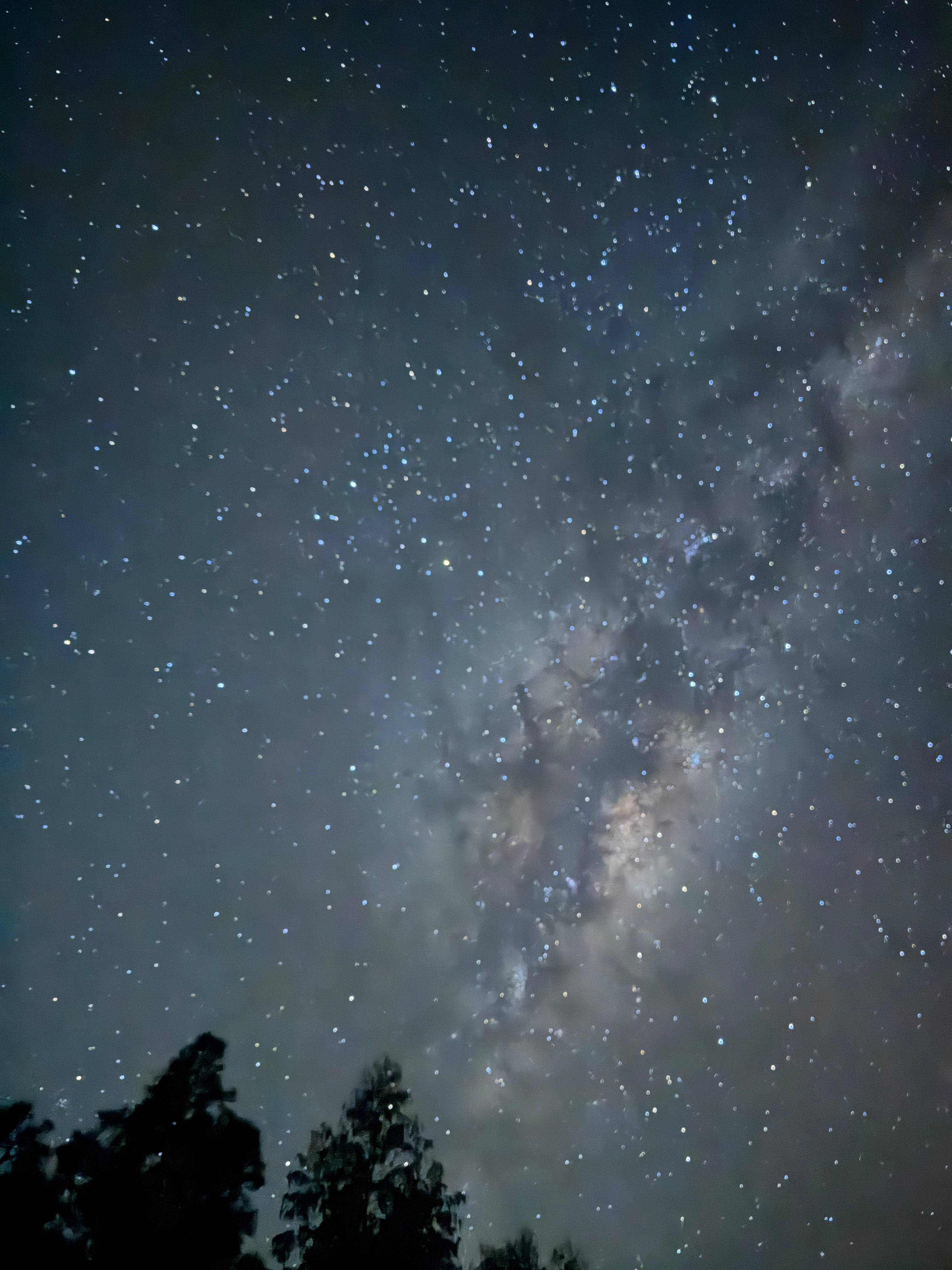 Babbling Brook 4WD Camping