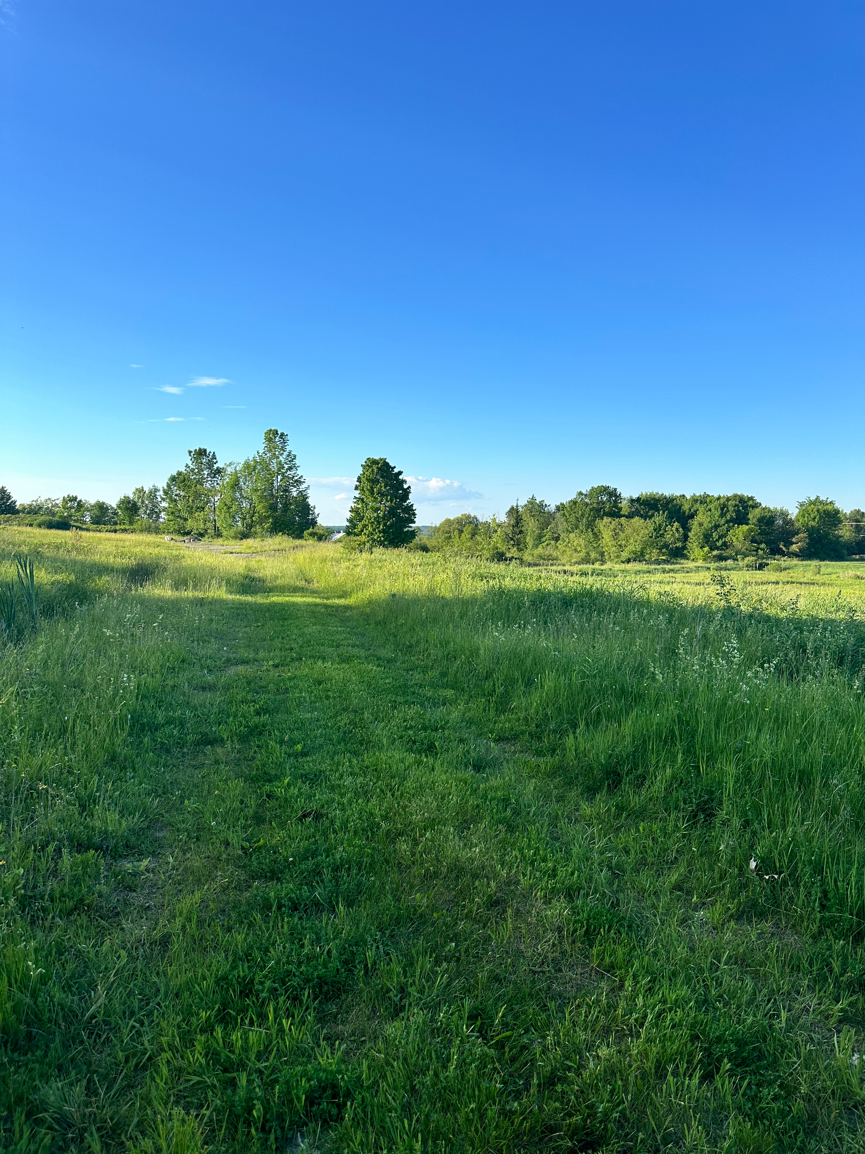 If you are camping on the flat rock, this path lies to the southeast (or, on your right). It winds gently through the surrounding field and into the lush forest. All walking paths are well maintained, clearly marked, and provide ample opportunities to connect with nature. Our trails form contained loops, so you won't have to worry about getting lost.