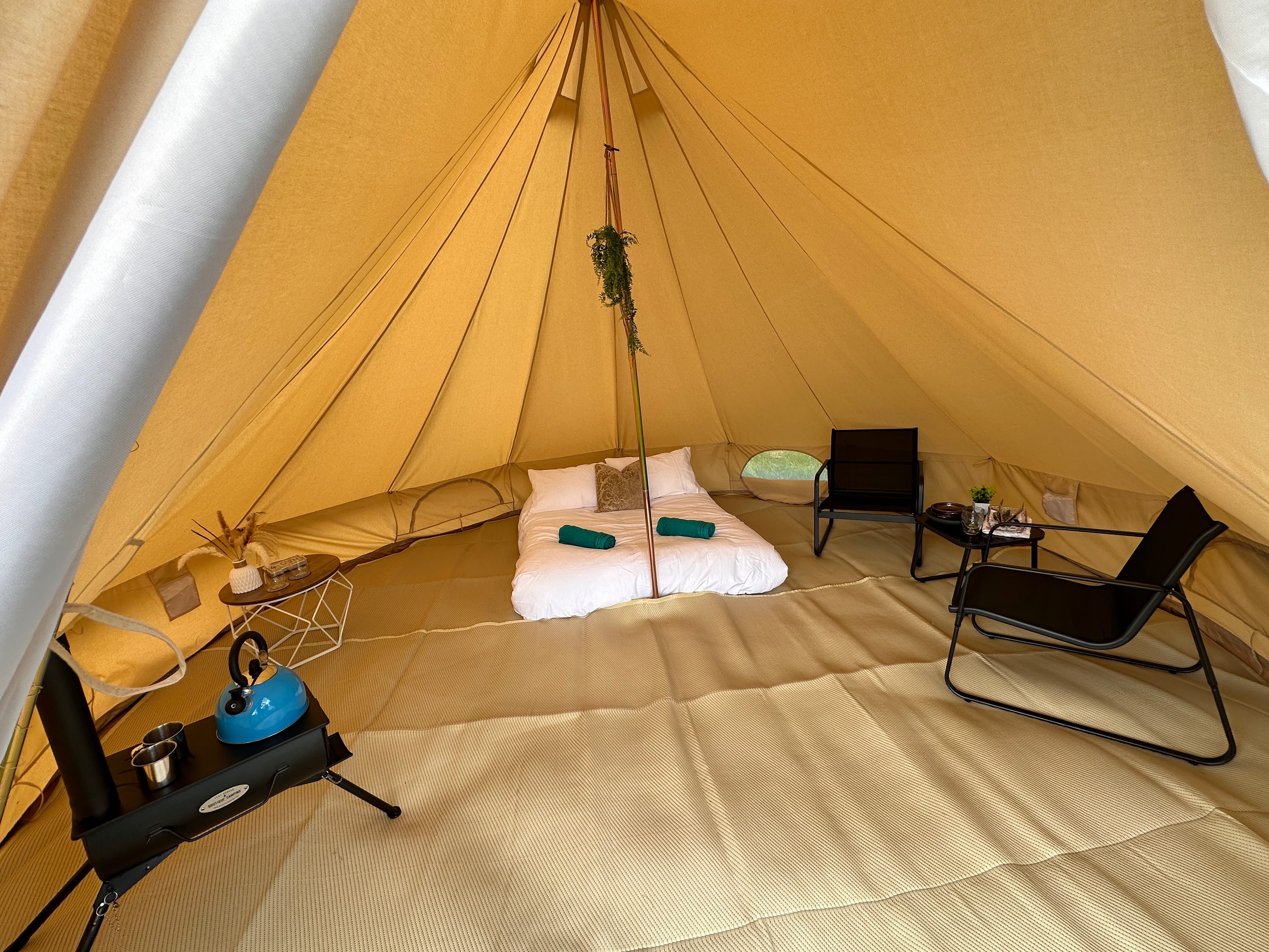 Buzzard Holt Hosting