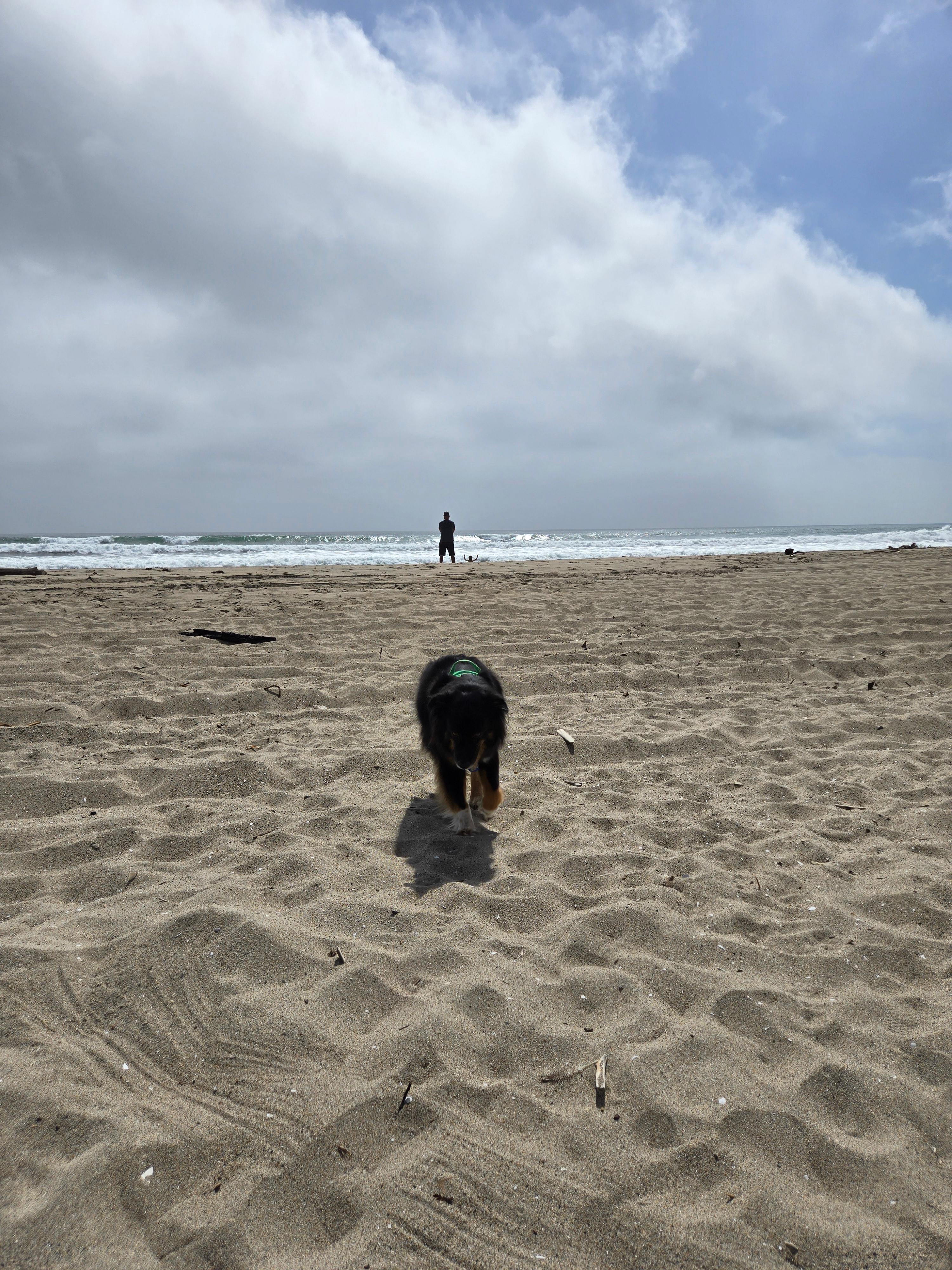 La Selva Beach 