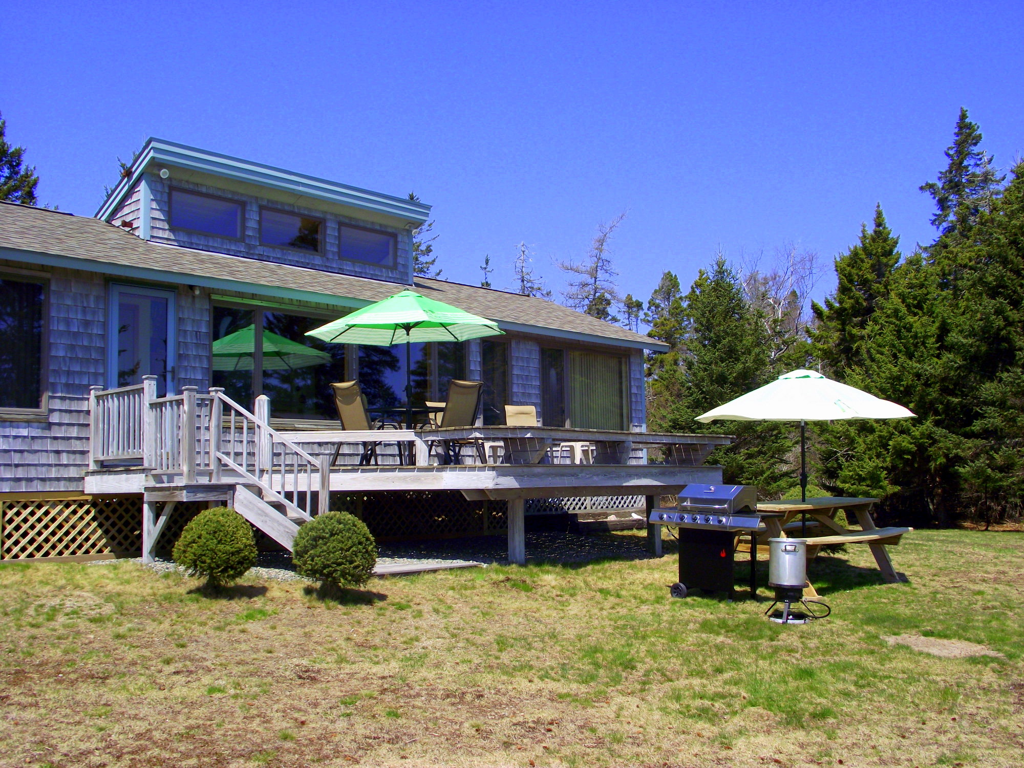 Searenity Cottage Maine Oceanfront