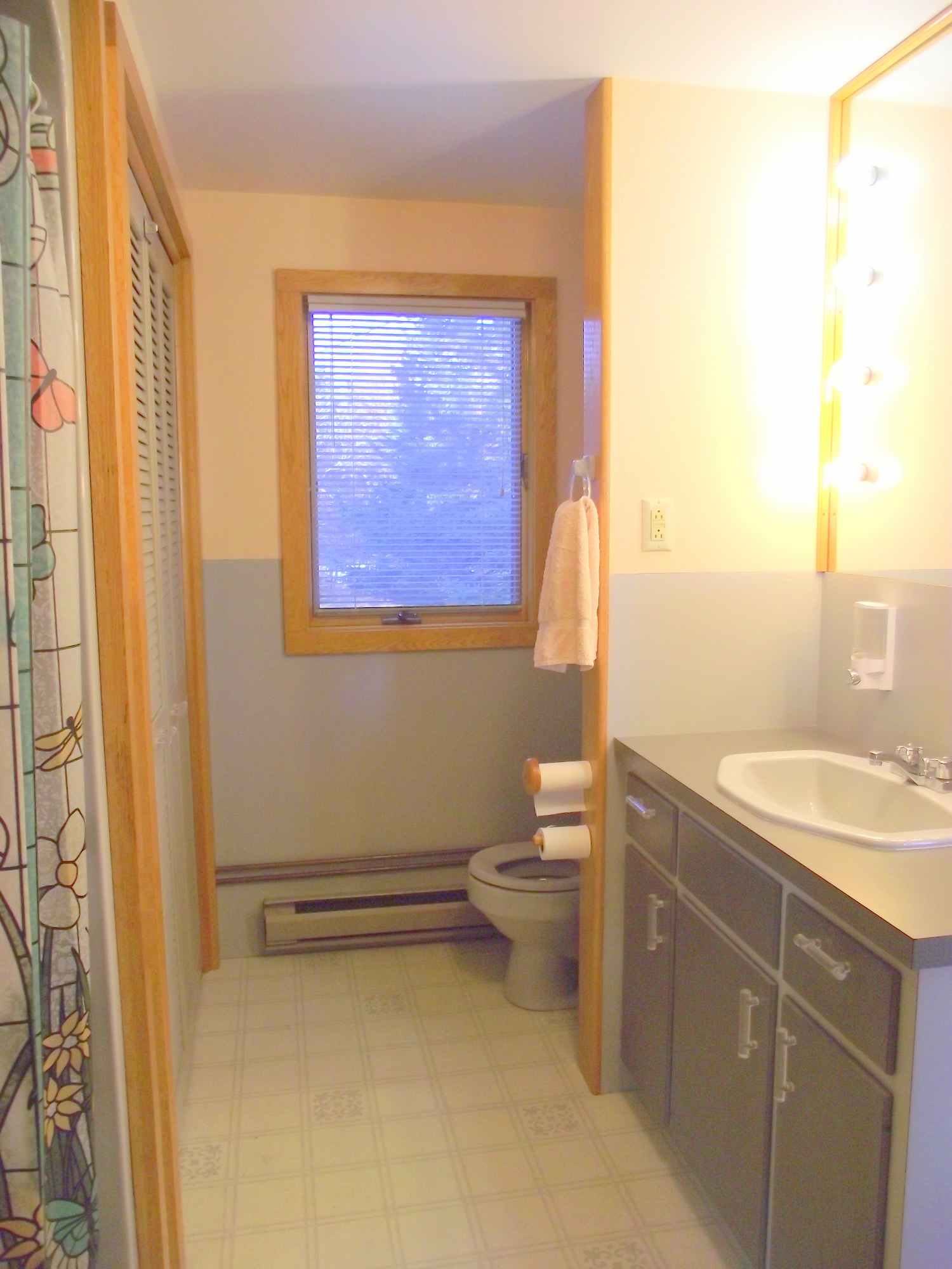 Searenity Cottage Maine Oceanfront