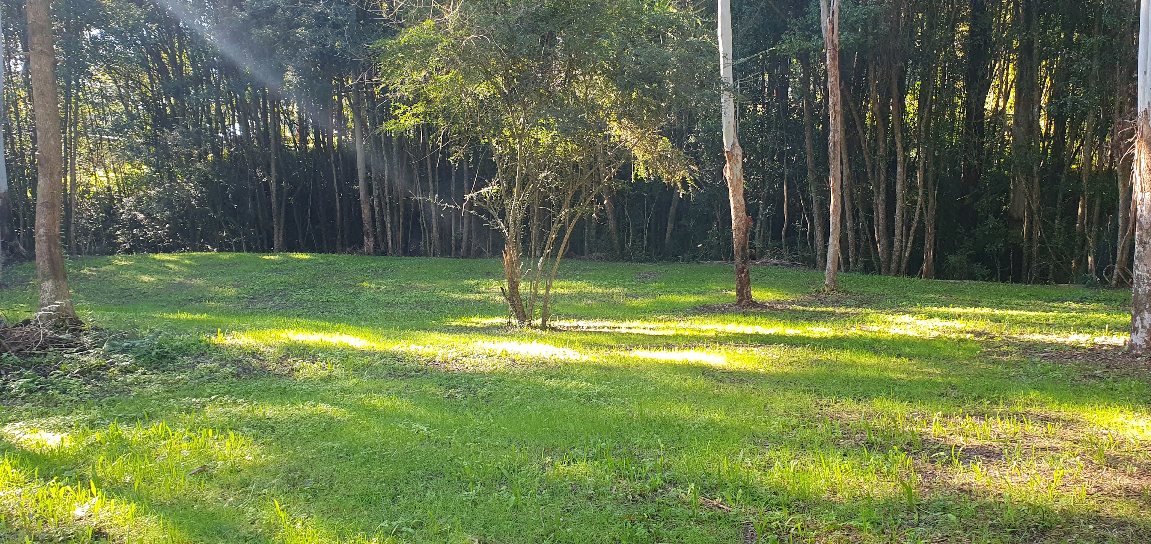Bellingen Hideaway