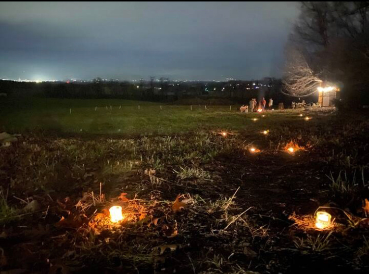 Montside Orchard Camp, Cabin&Sauna
