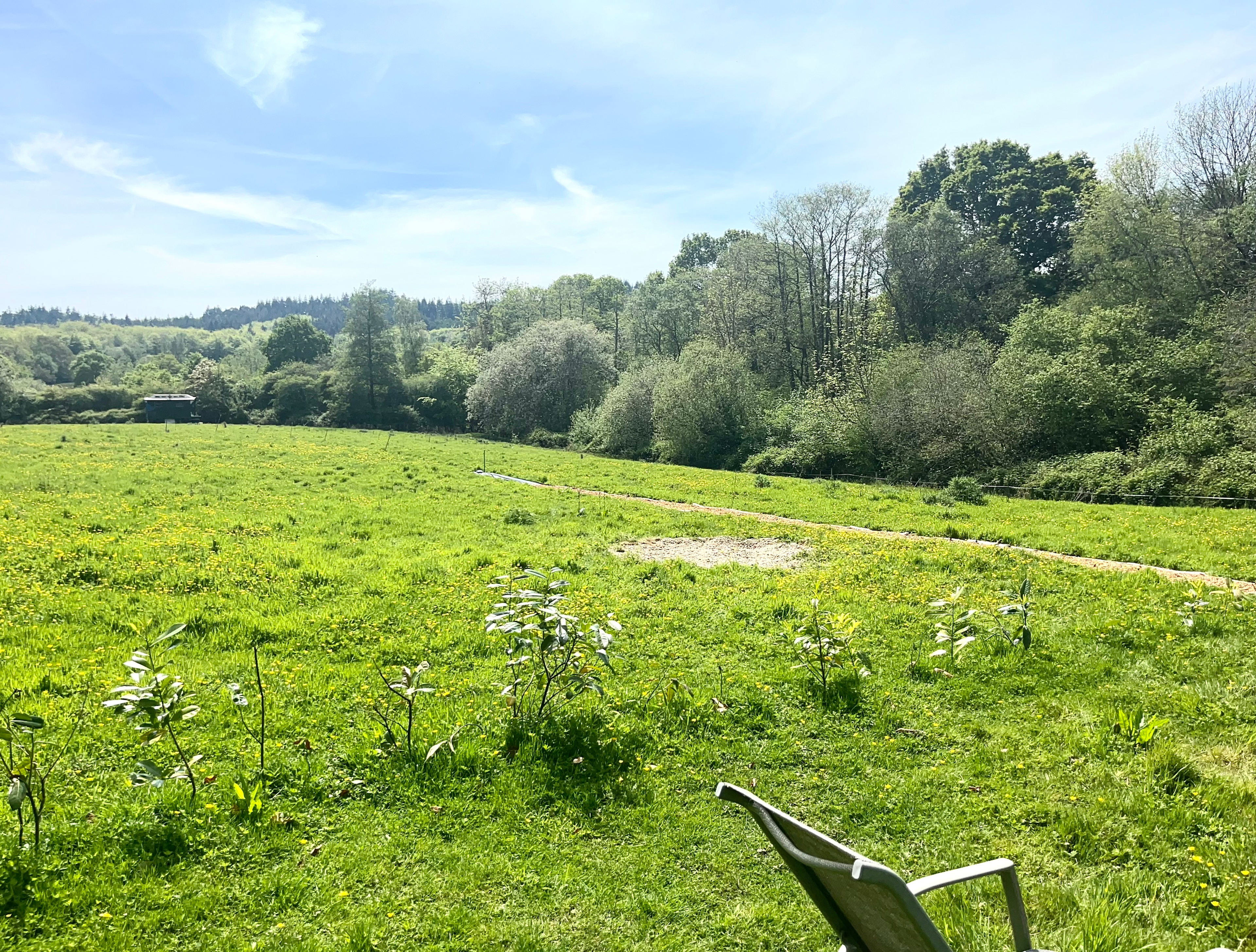 Fallow Coombe Glamping