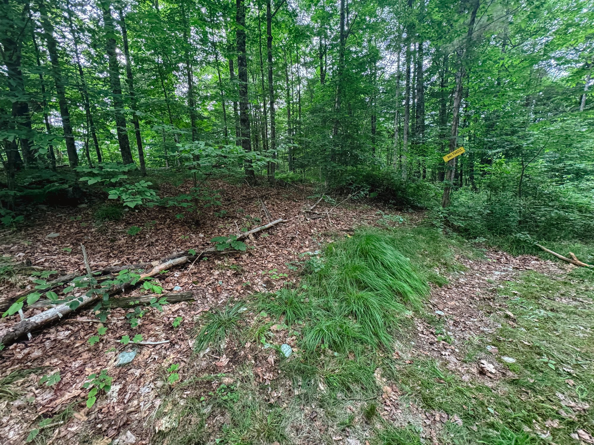 Bad picture, but there's a ridgeline next to the site, which offers privacy from campers further up the hill. 