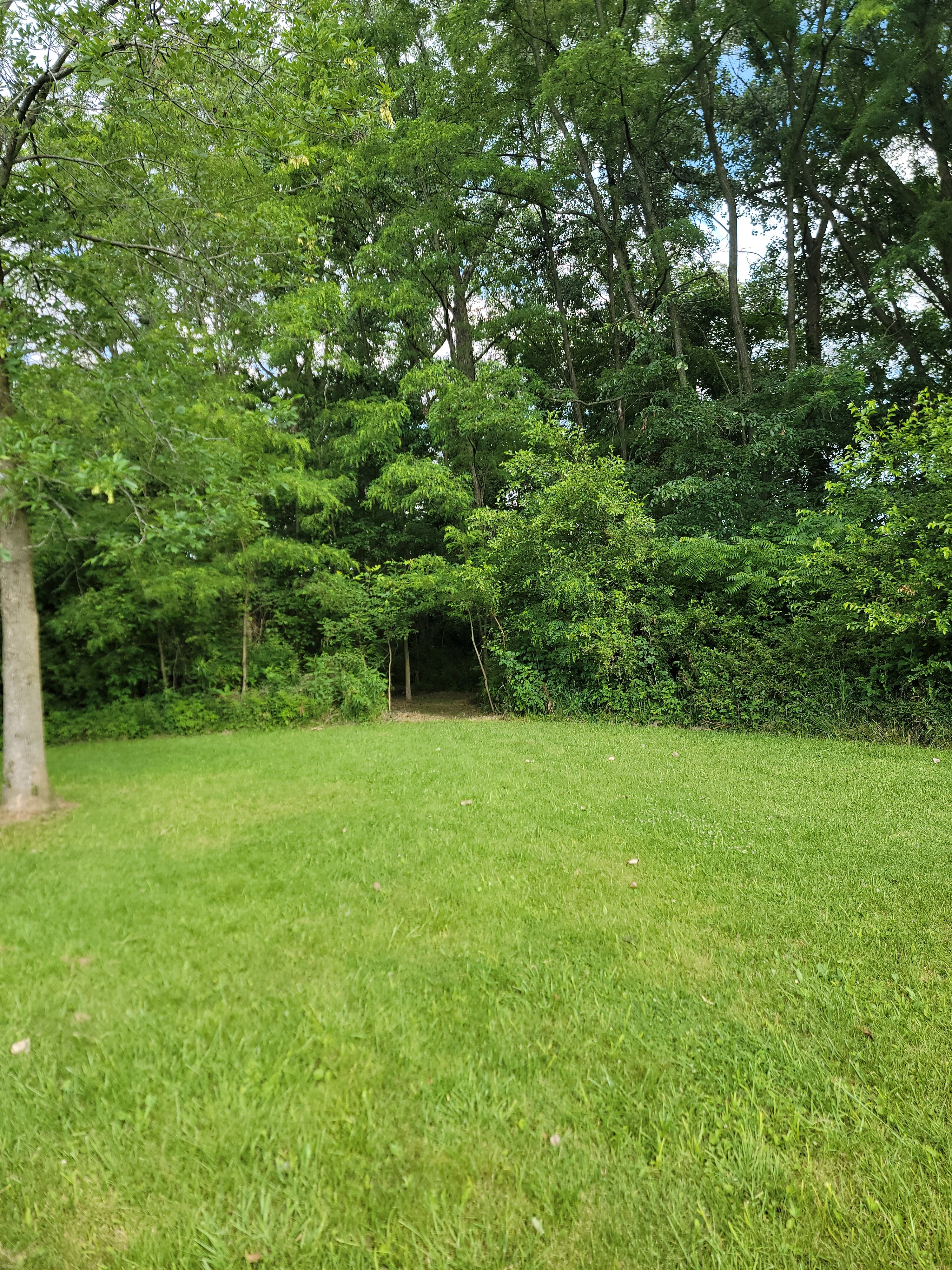 Tucked Away Tenting