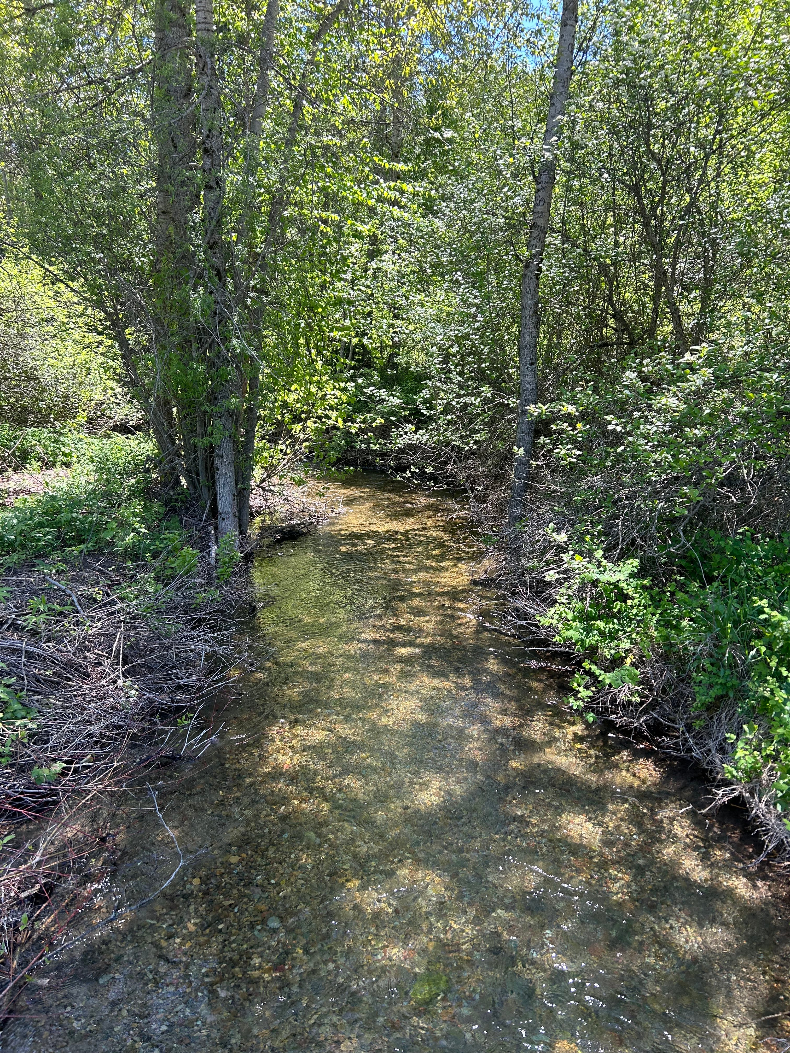 Cedar Creek Retreat