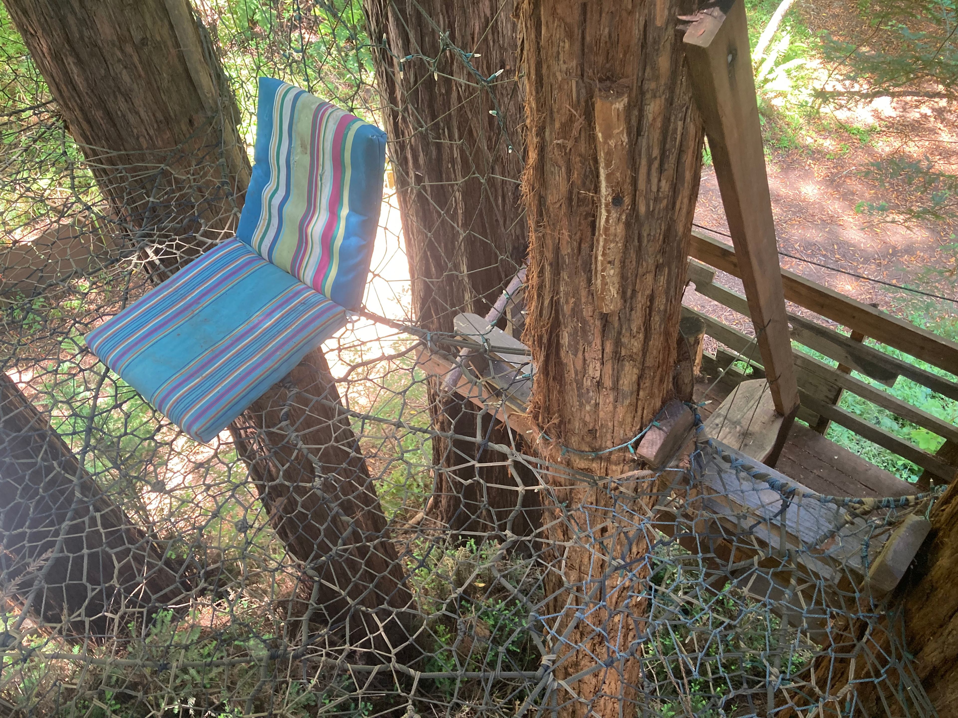 Sleep Up High In A Redwood Tree-net