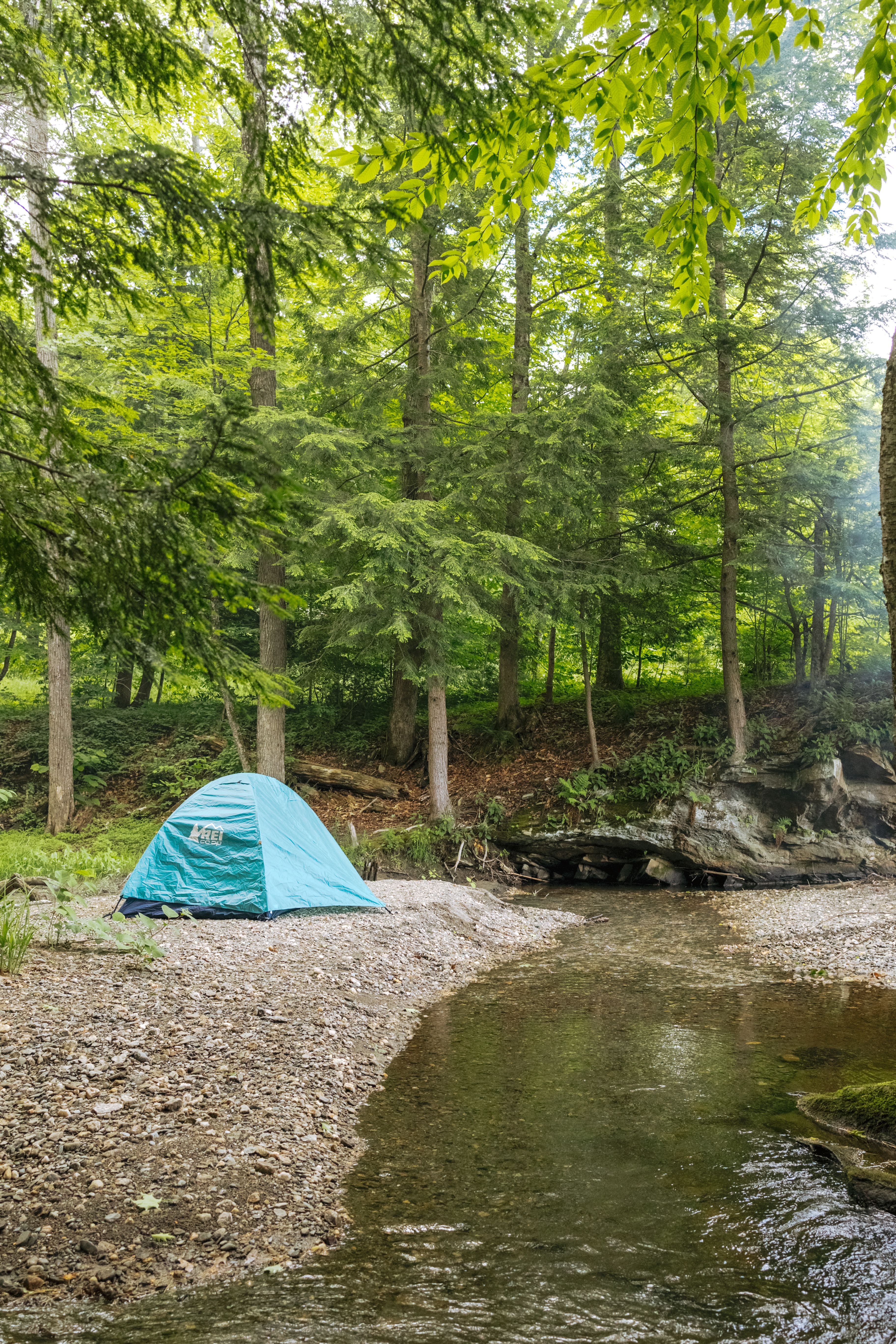 Palm Beach Site at Kindness!