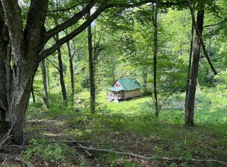 Little Bodhi Creek Farm Stay