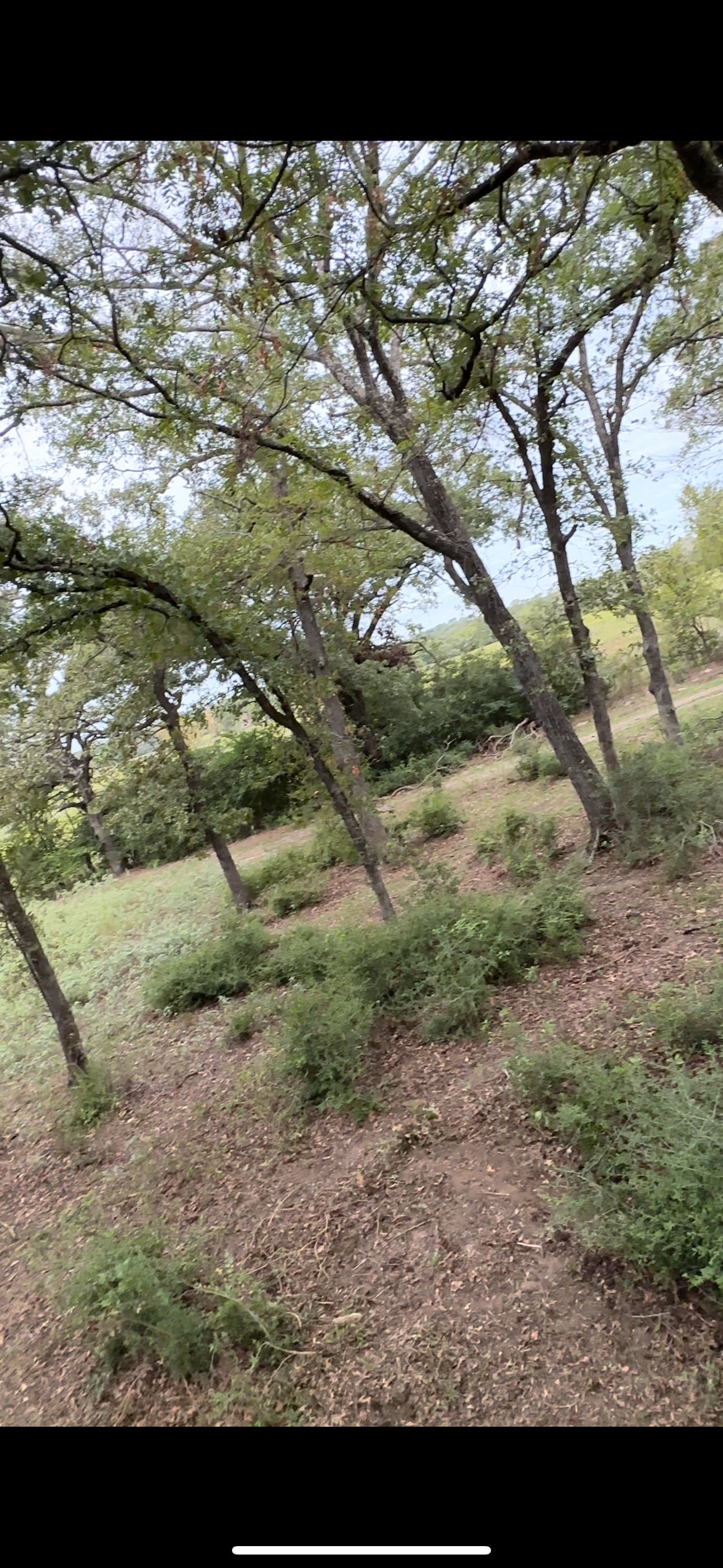 Cattlemen Ranch