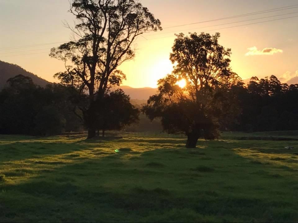 Tweed Valley - Doon Doon Farm