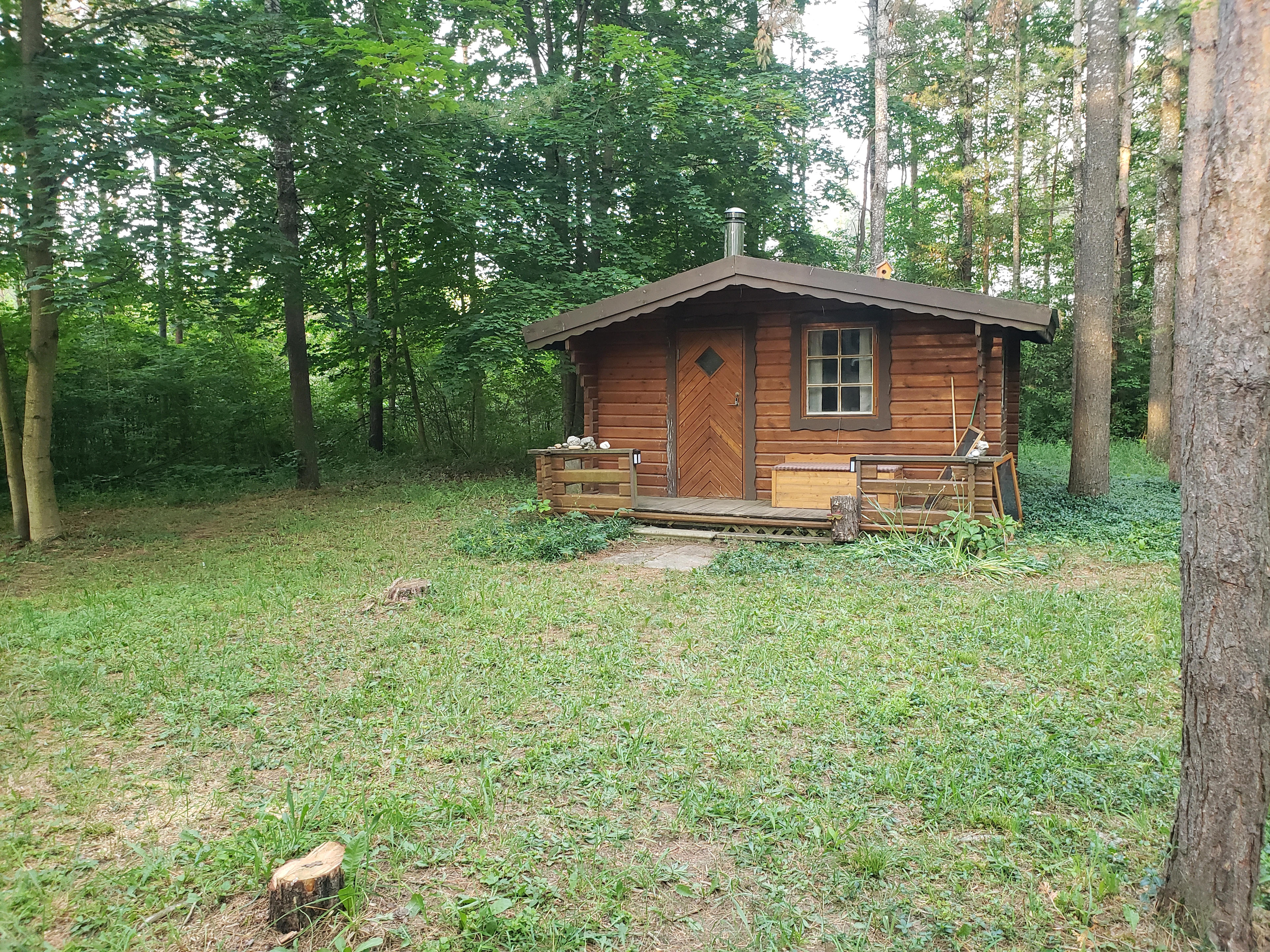 Raven Hollow - Woodland Retreat