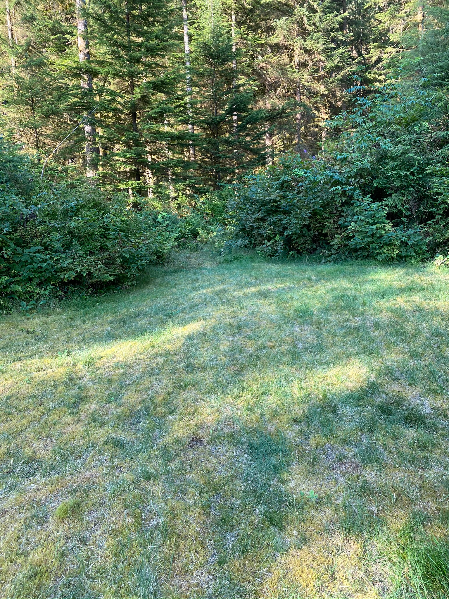 8 Debeck Creek Pitt Lake BC
