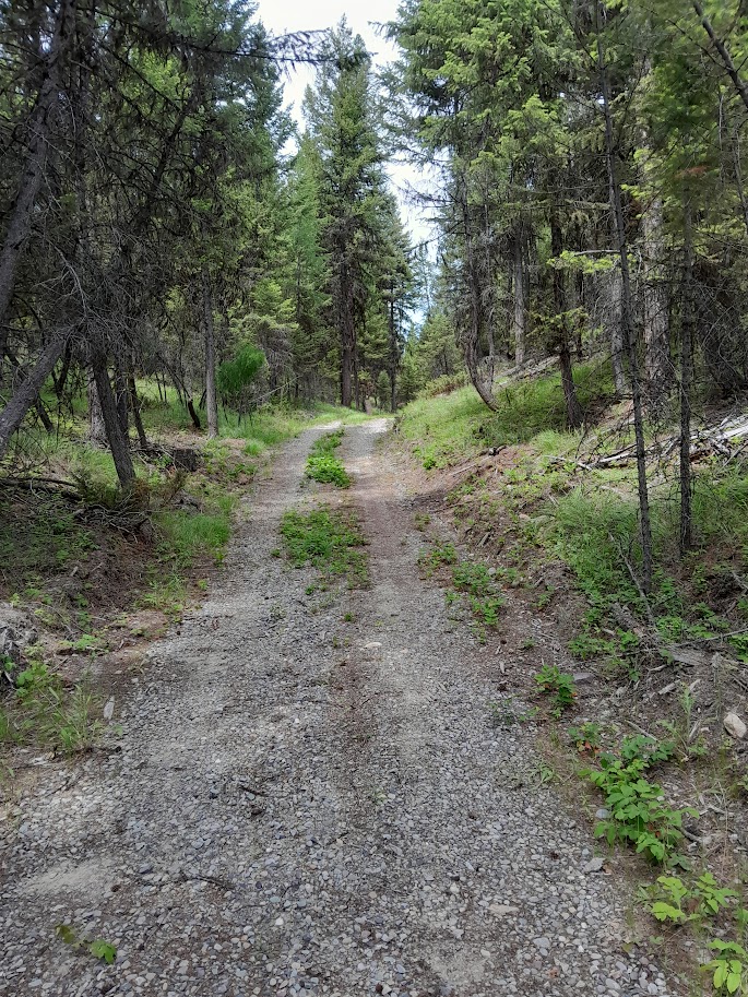 Secluded Dodge Creek Hide Away