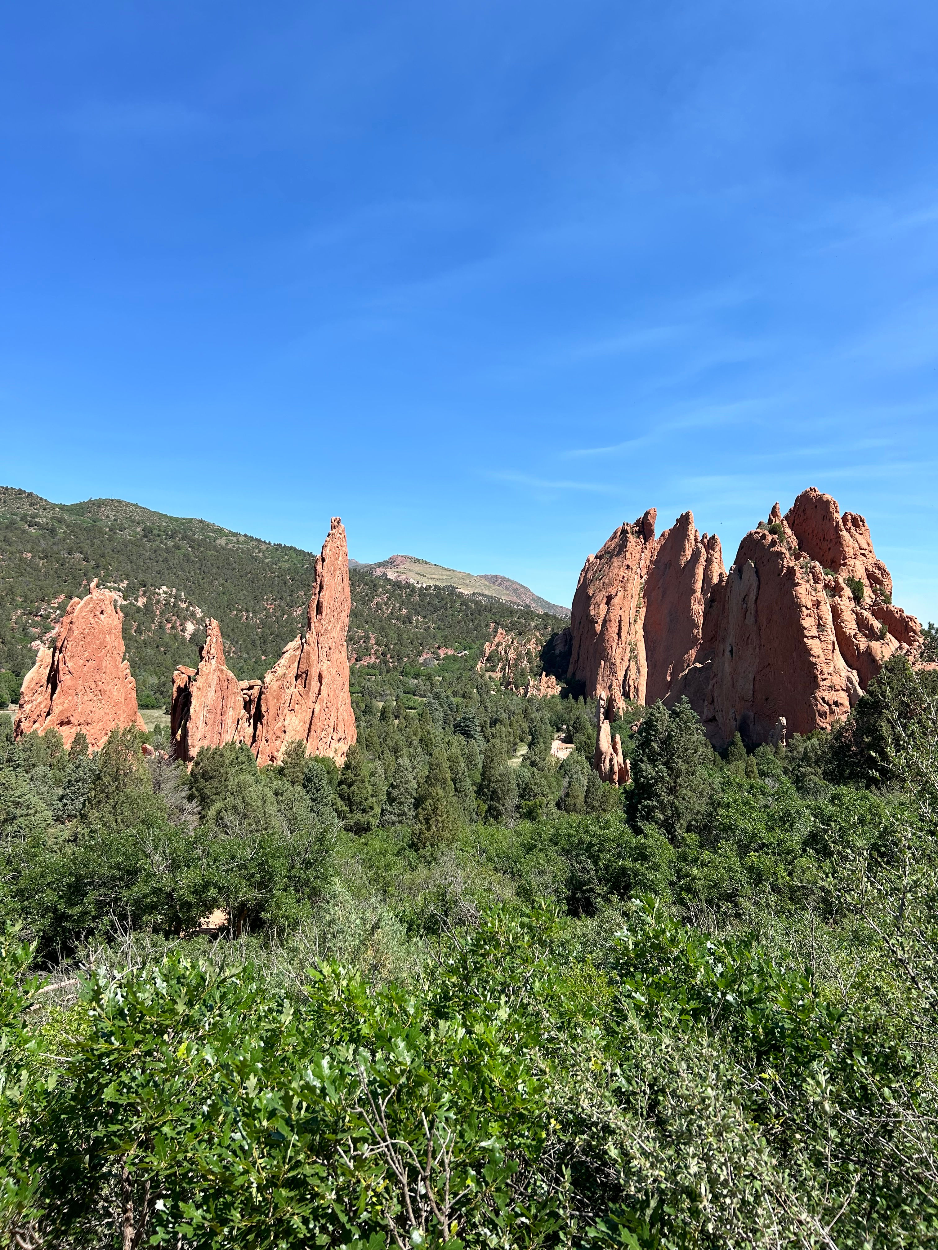 Garden of the gods