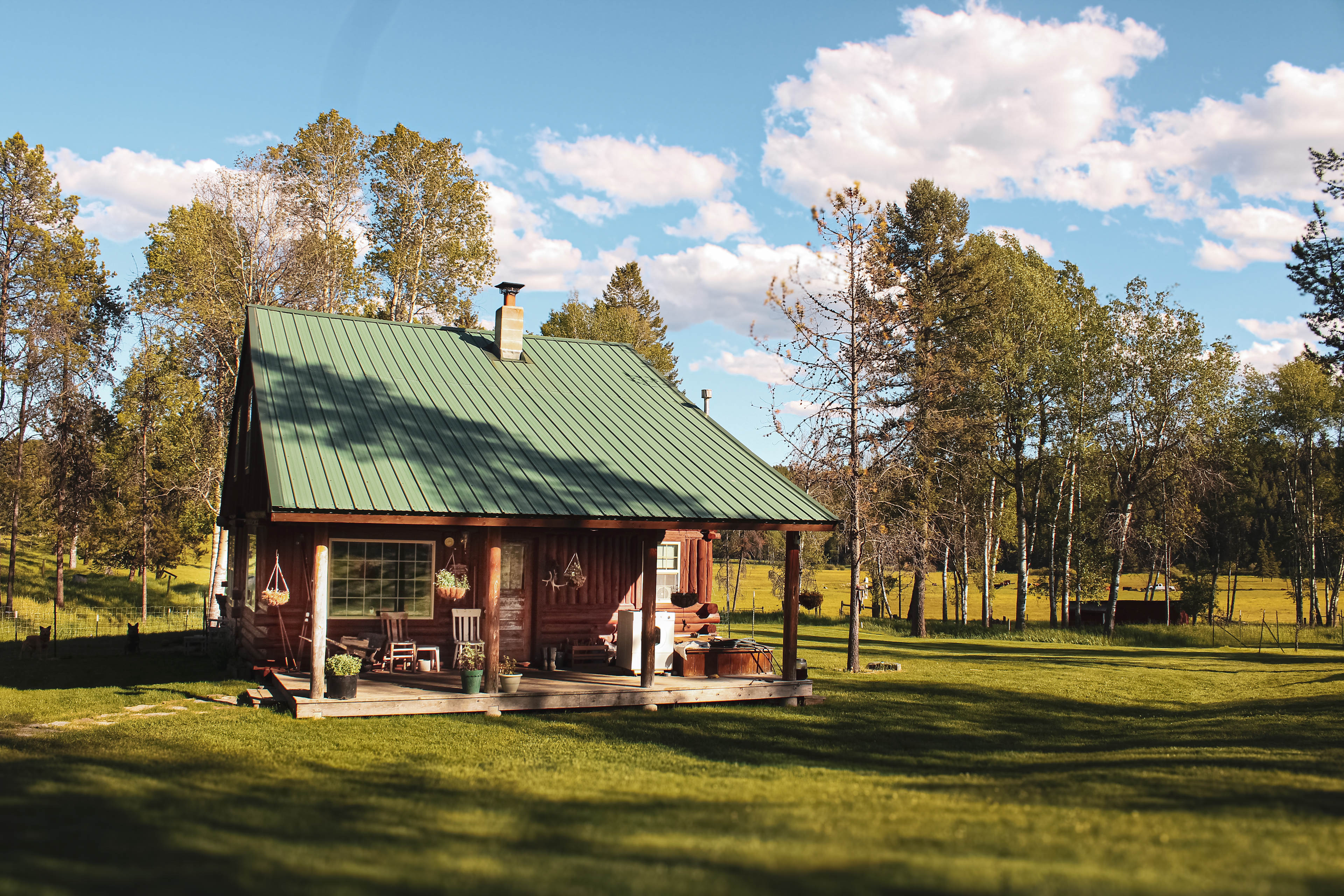 The Main Cabin