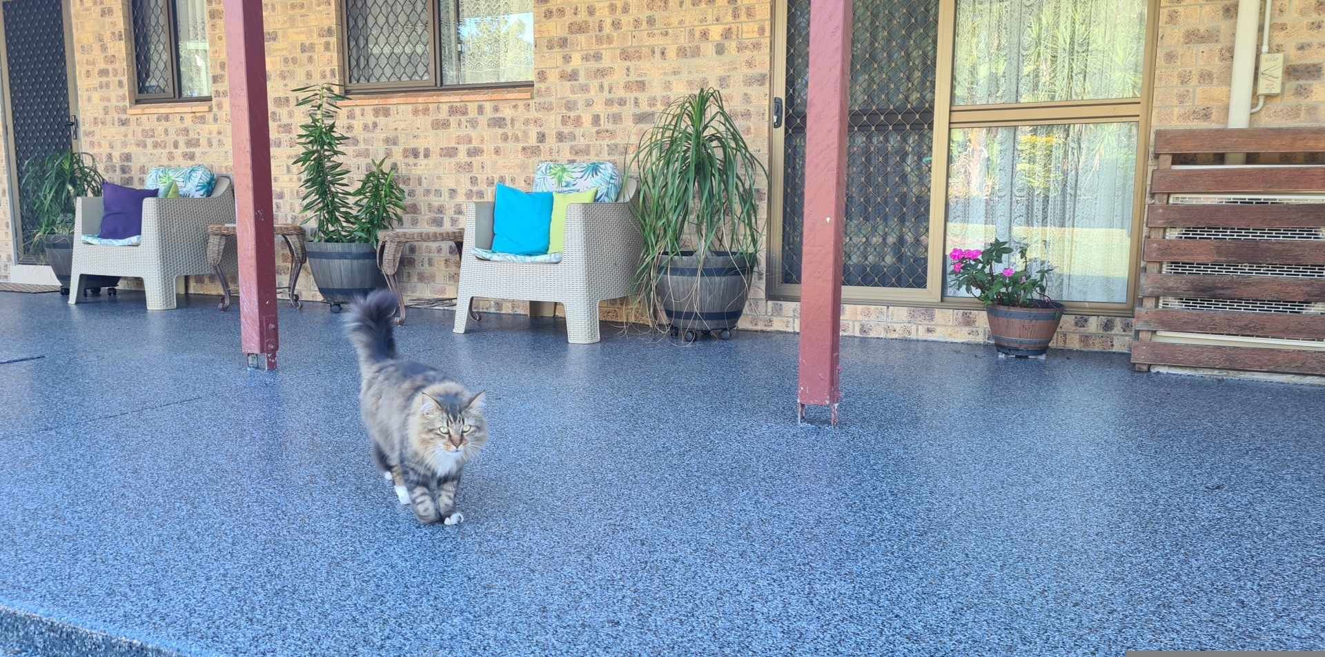 JJJ'S Ranch Farm Stay,South Kolan Q