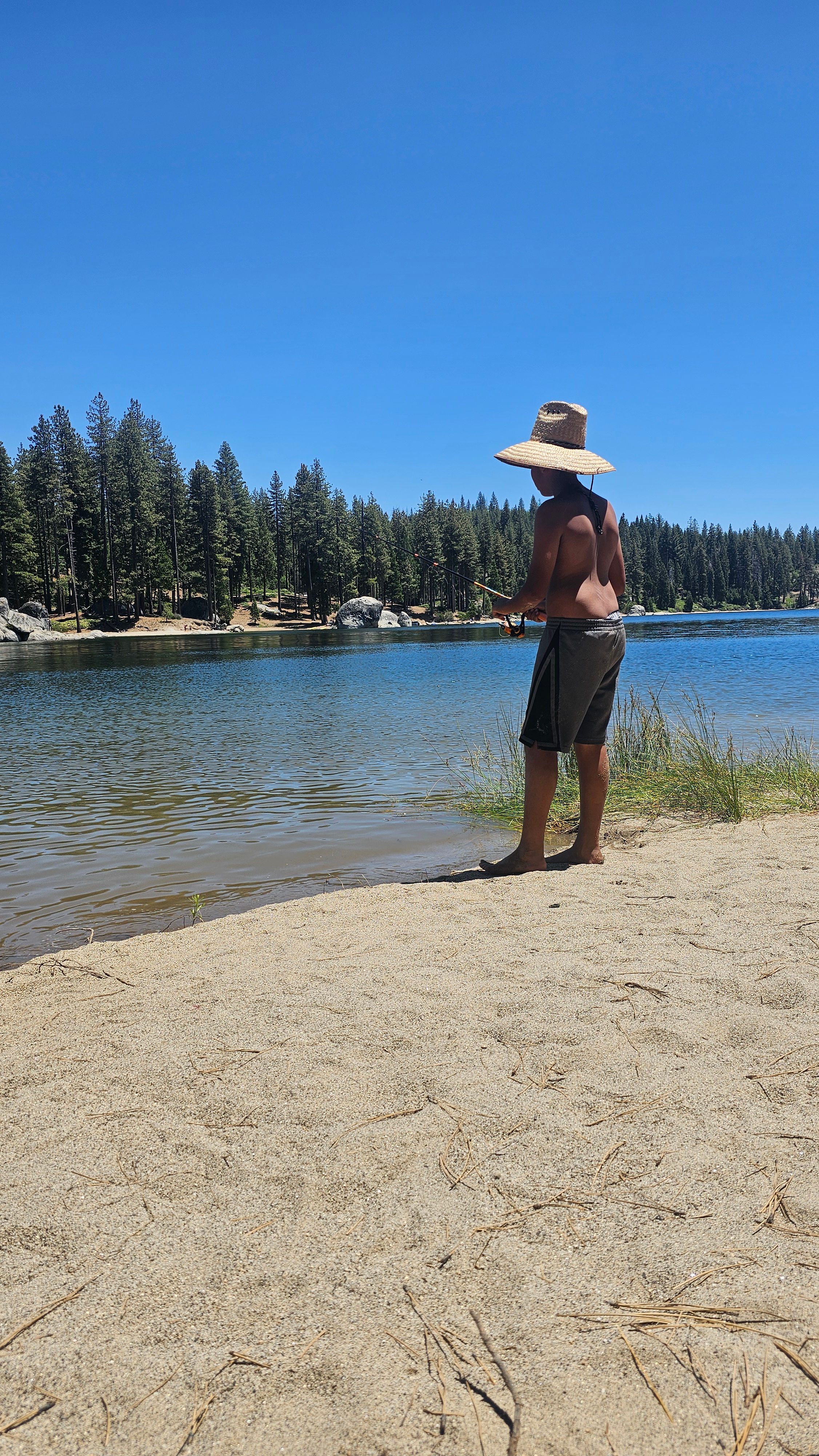 Musick Creek Falls  by Shaver Lake
