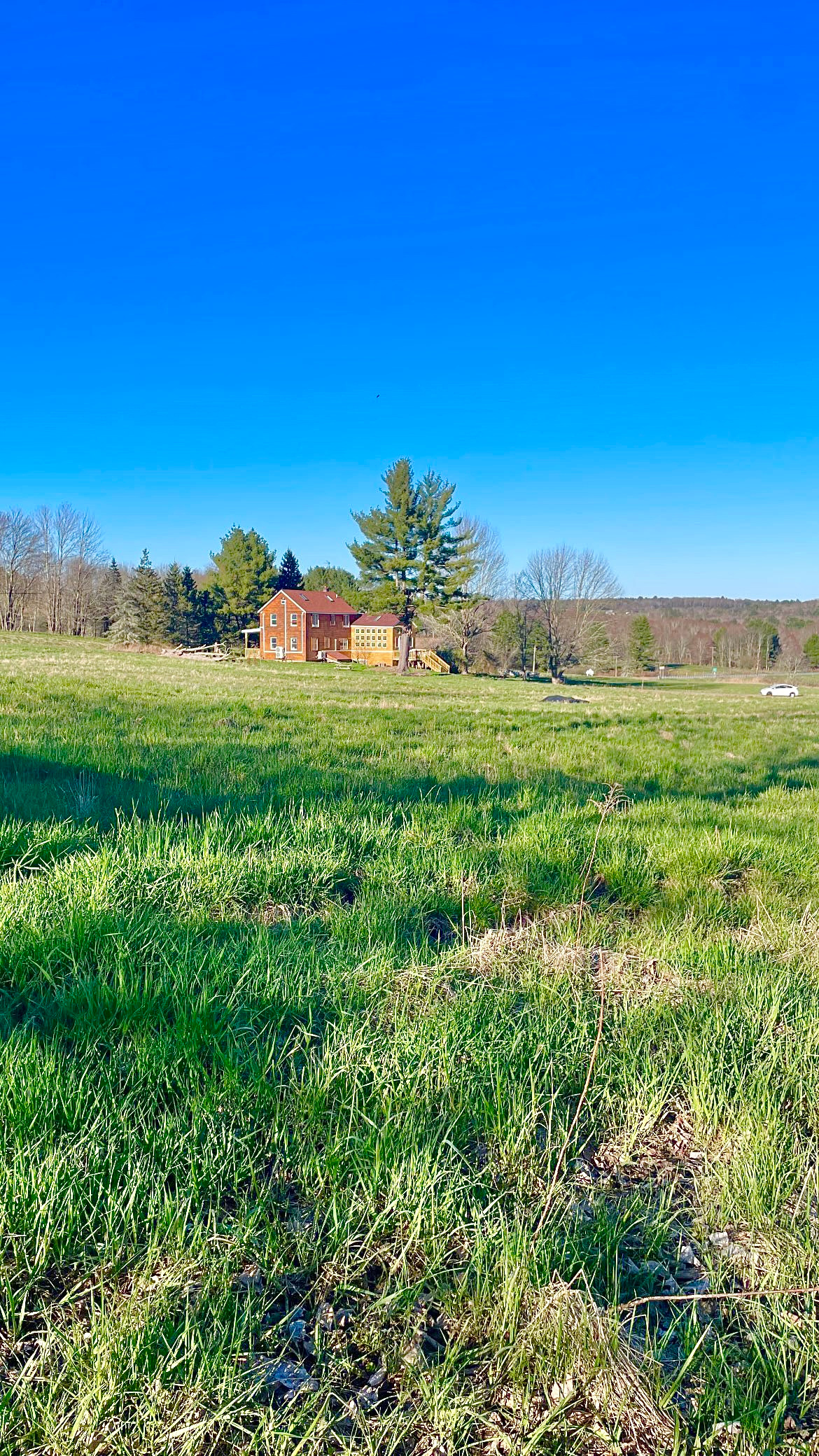 Fairytale Farm