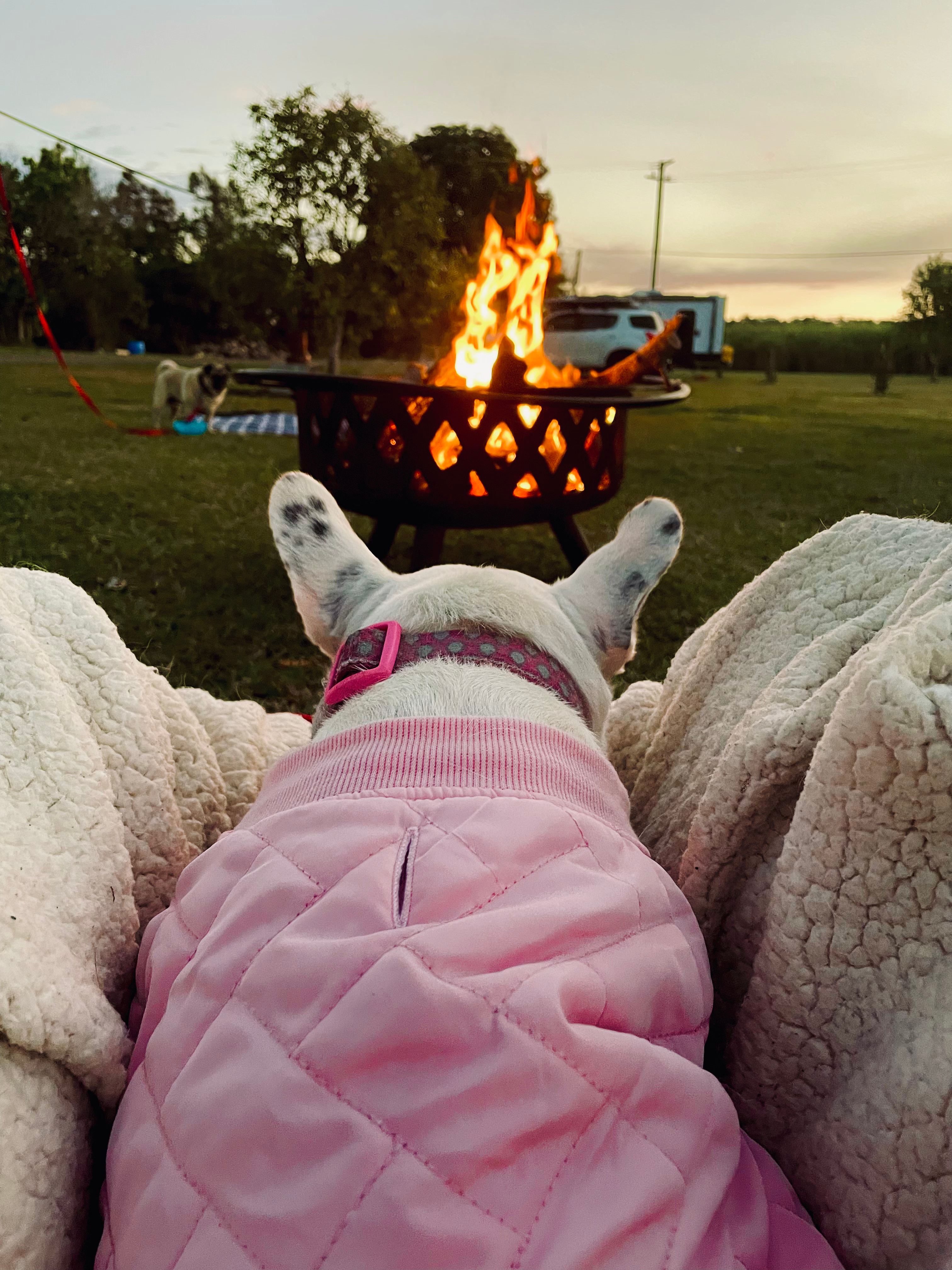 Riverside Farm