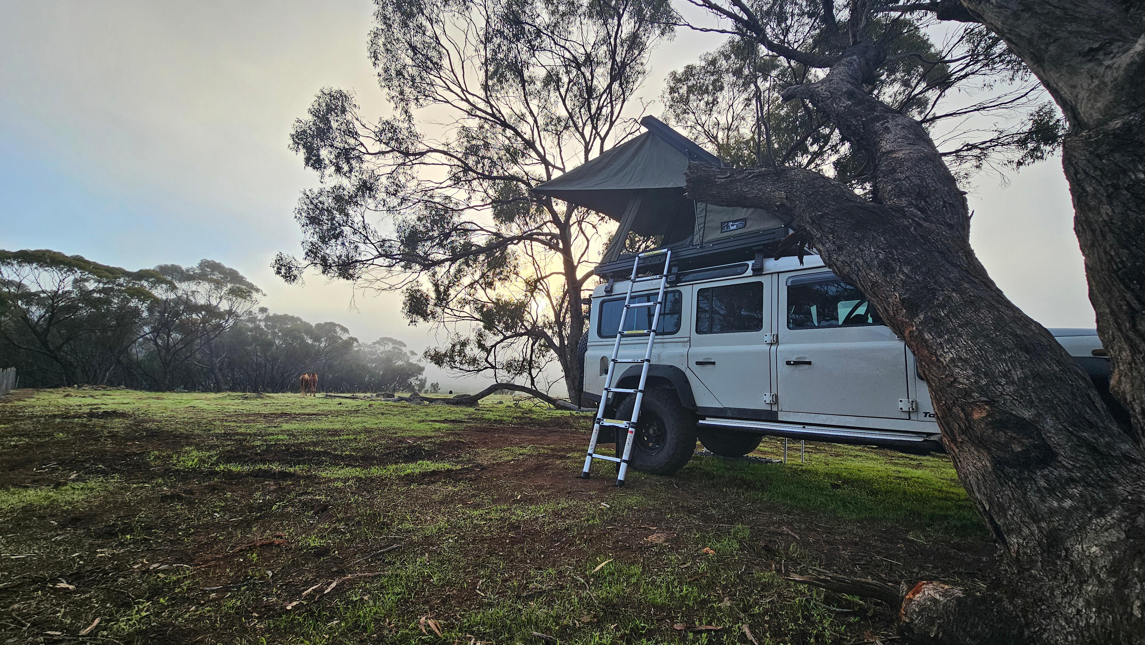Sandalwood Downs  Farm Stay Toodyay