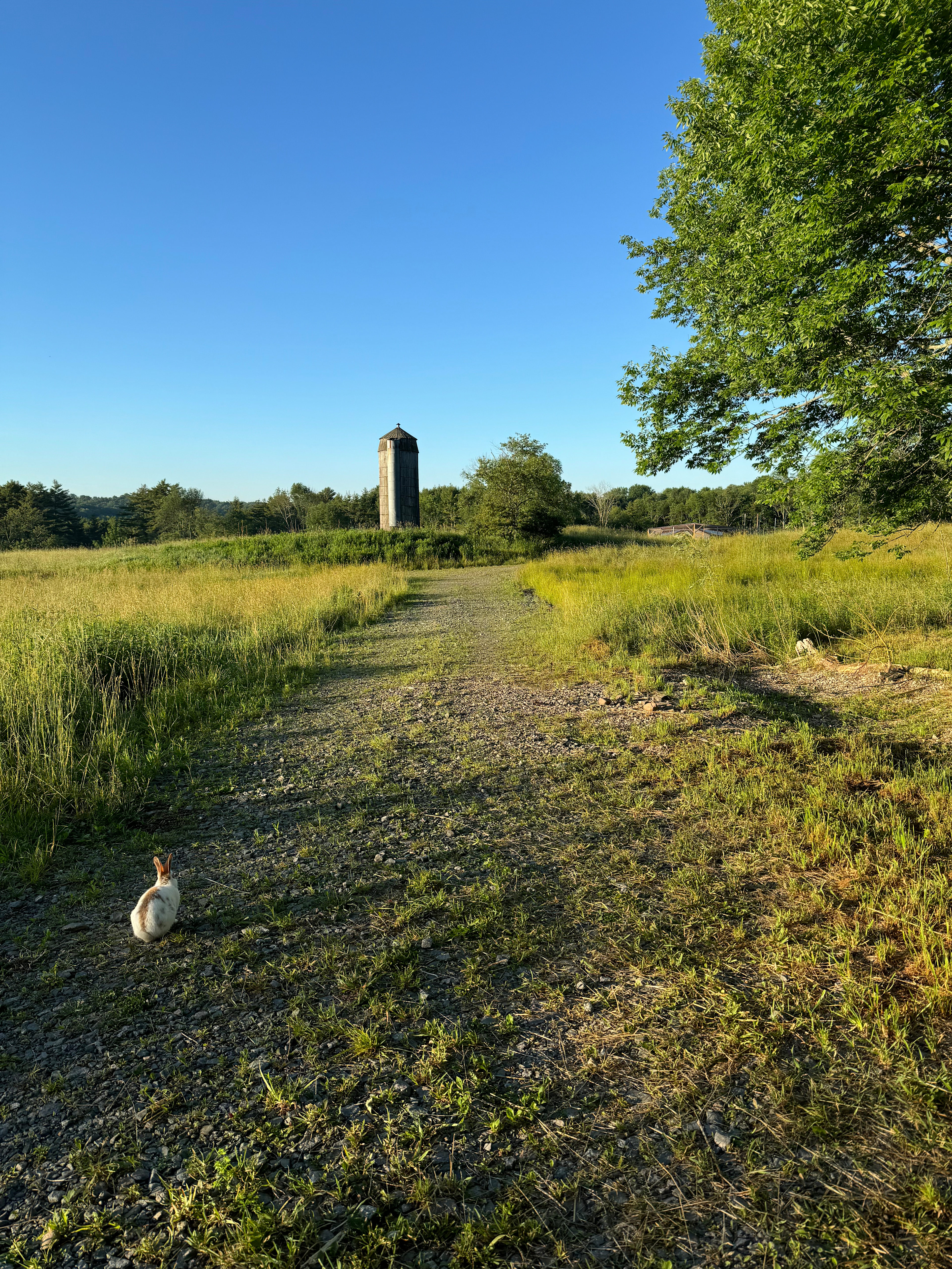 Fairytale Farm