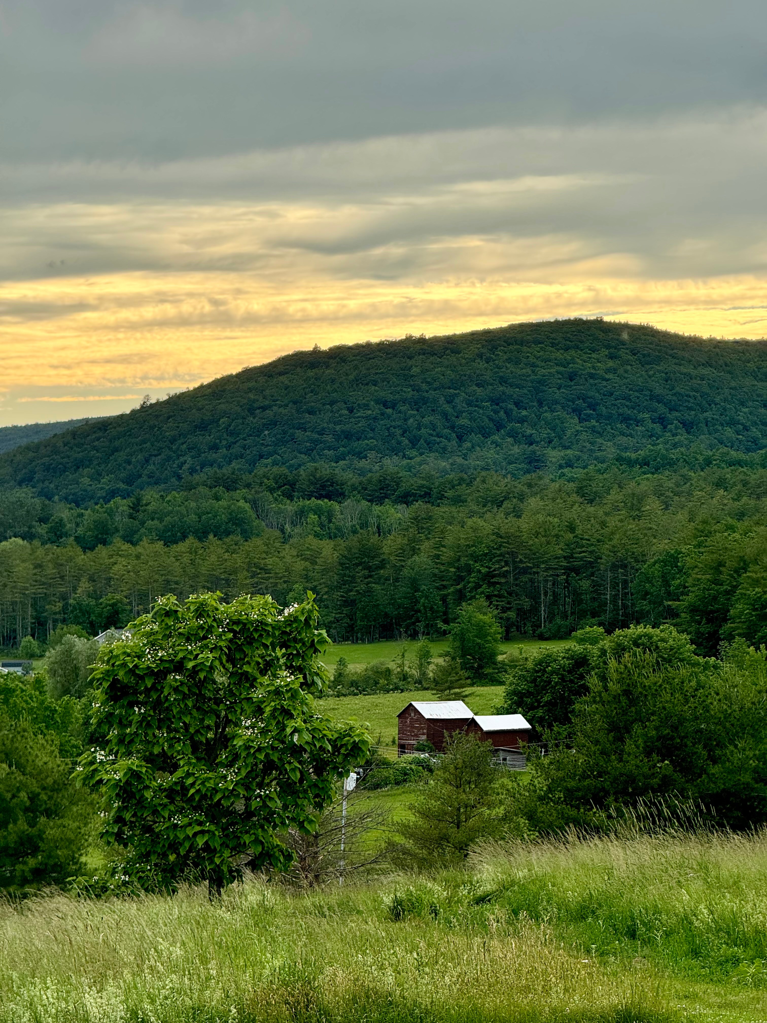 Campaway on Cotton Hill