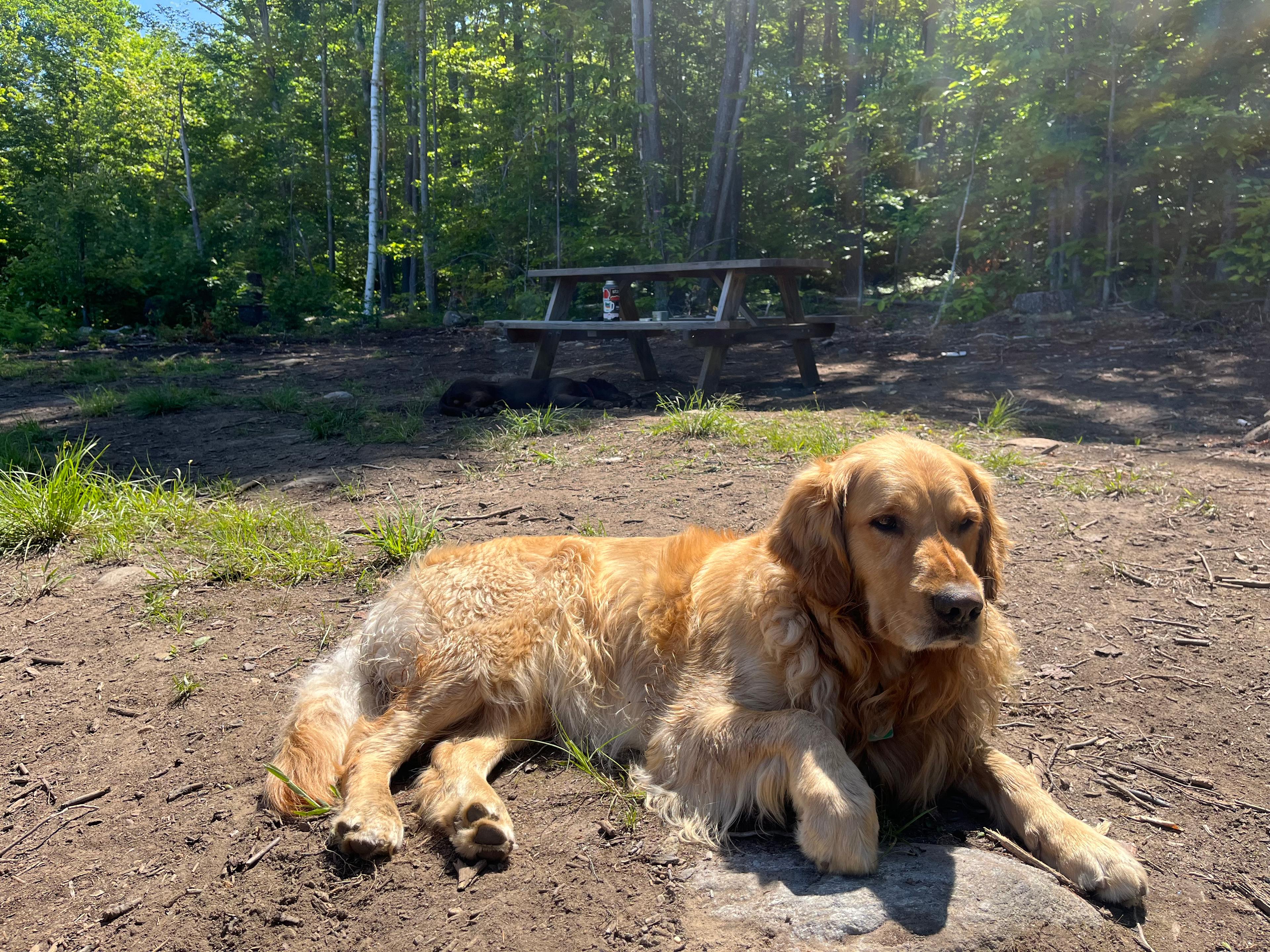 Morning after Sunday scaries