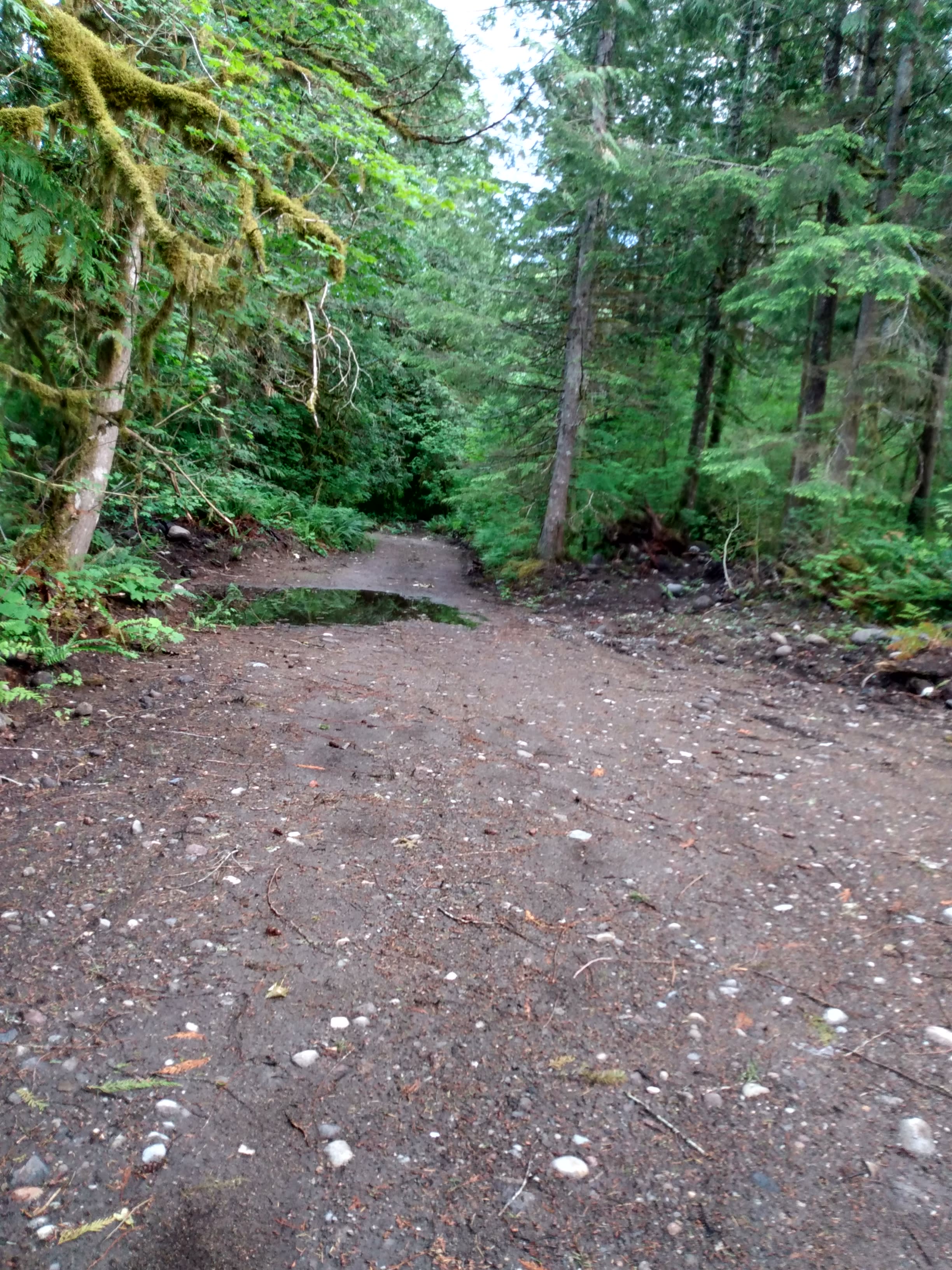 Short road to site 1 that curves to the left and drops downhill into camp site