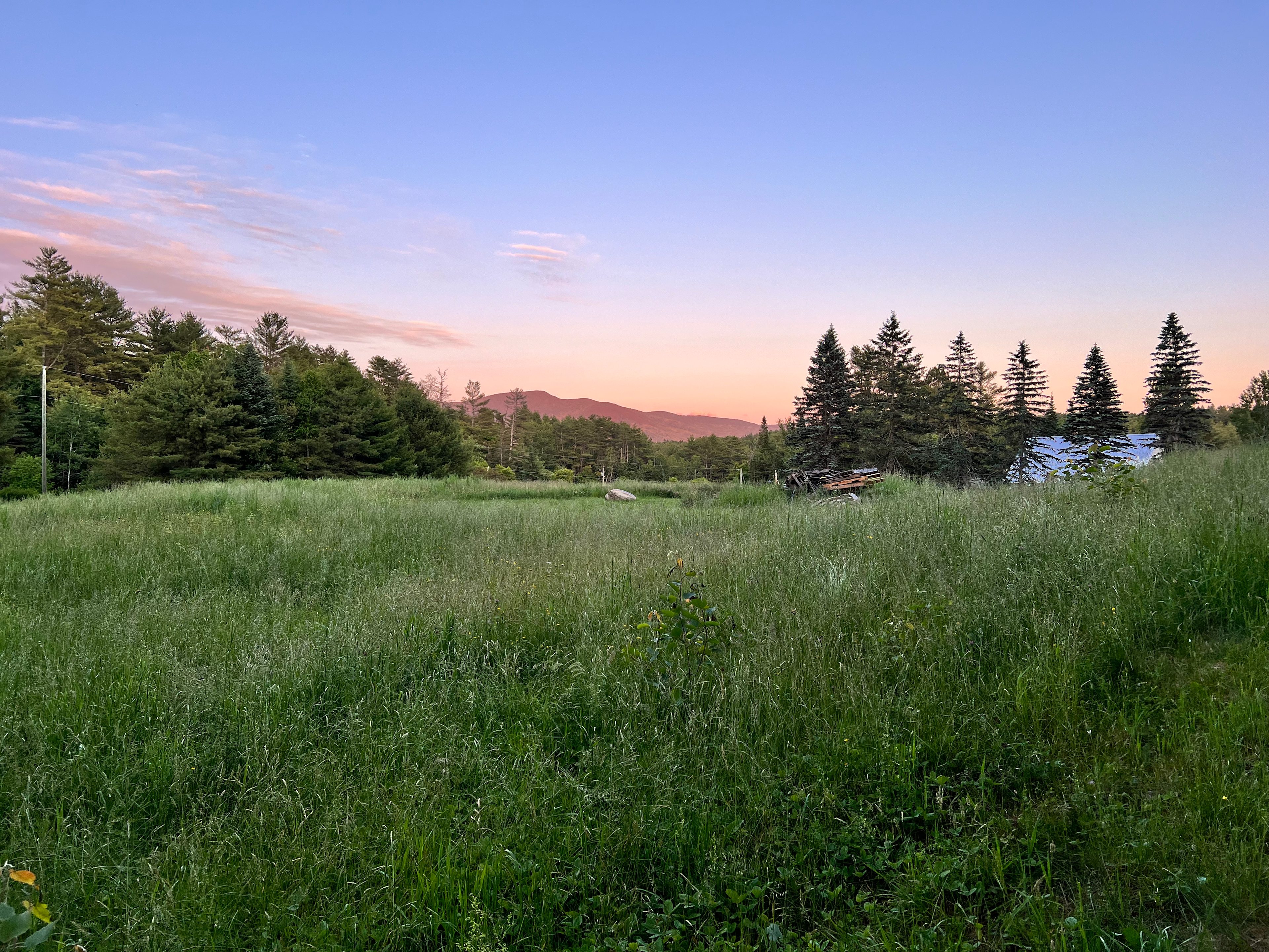 Private field and woods camping