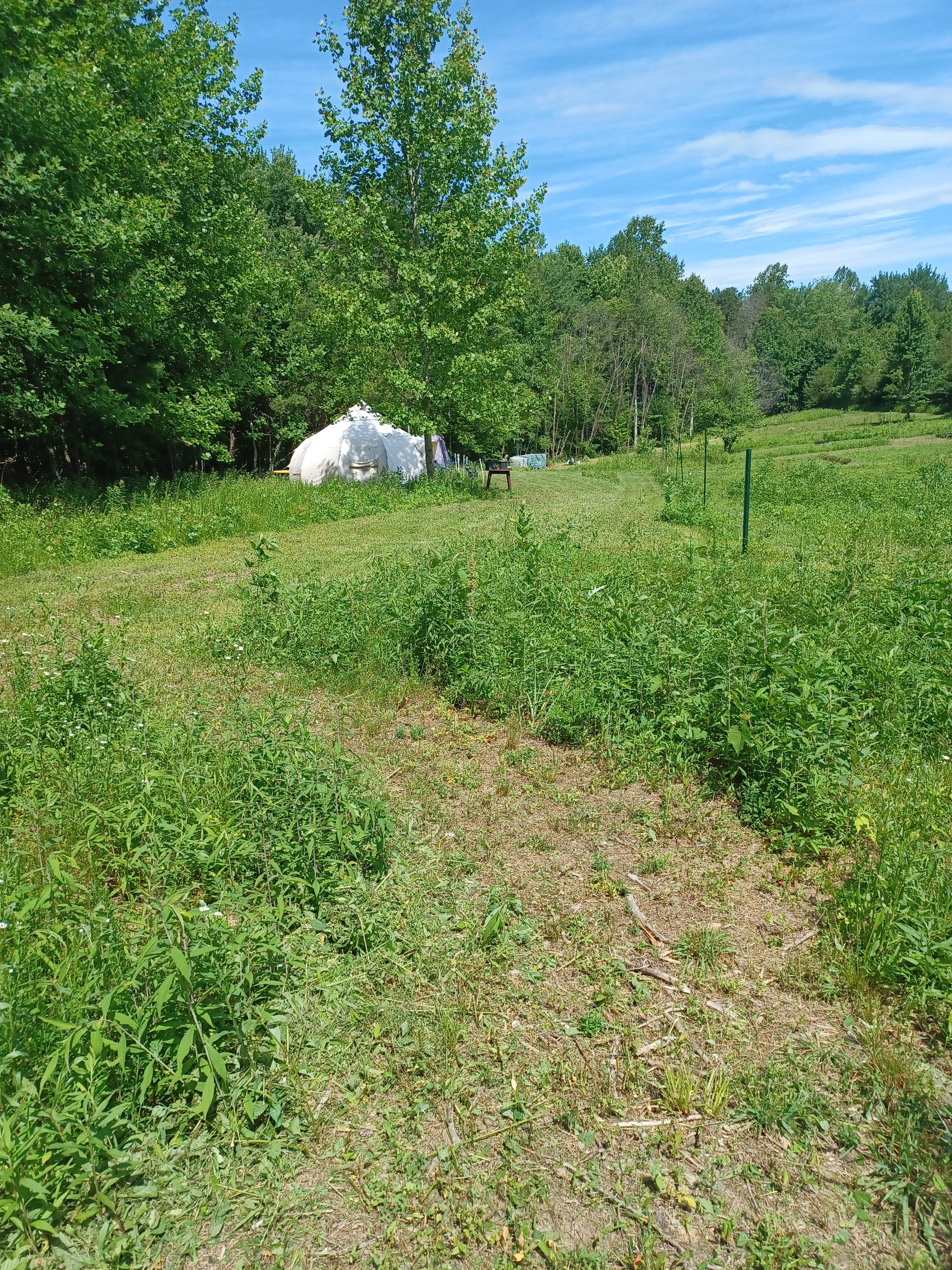 Serena Sankofa FoRest Farm Glamping